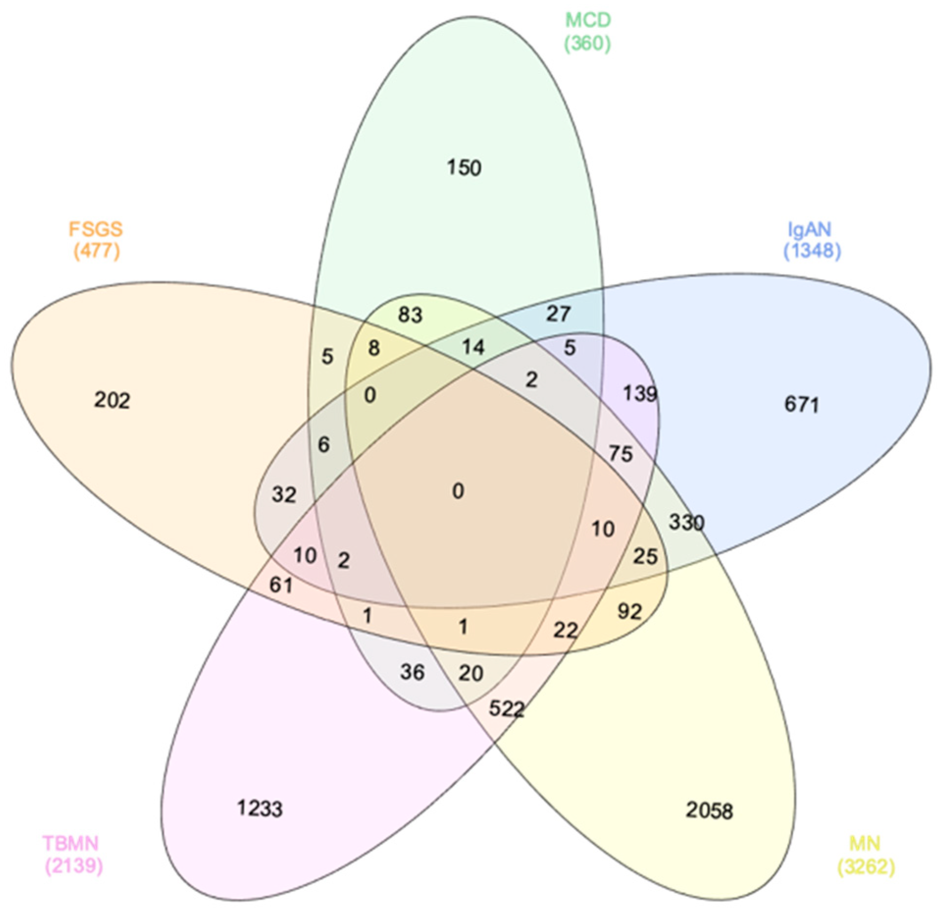 Jcm 10 02262 g001 Jcm 10 02262 g001