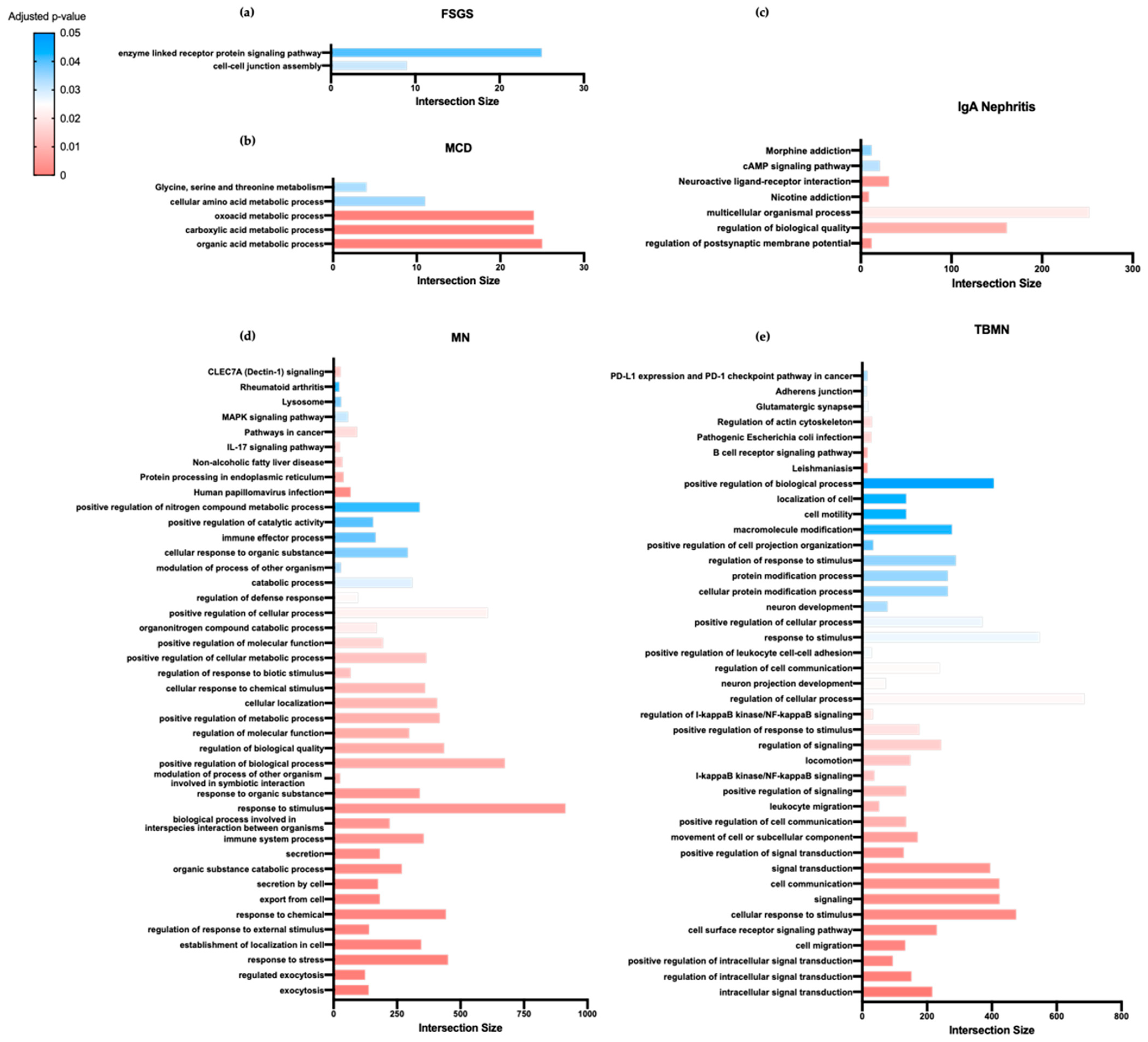Jcm 10 02262 g002 Jcm 10 02262 g002