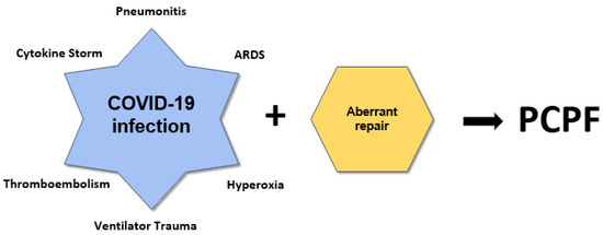 JCM | Free Full-Text | Post-COVID-19 Pulmonary Fibrosis: Novel Sequelae ...