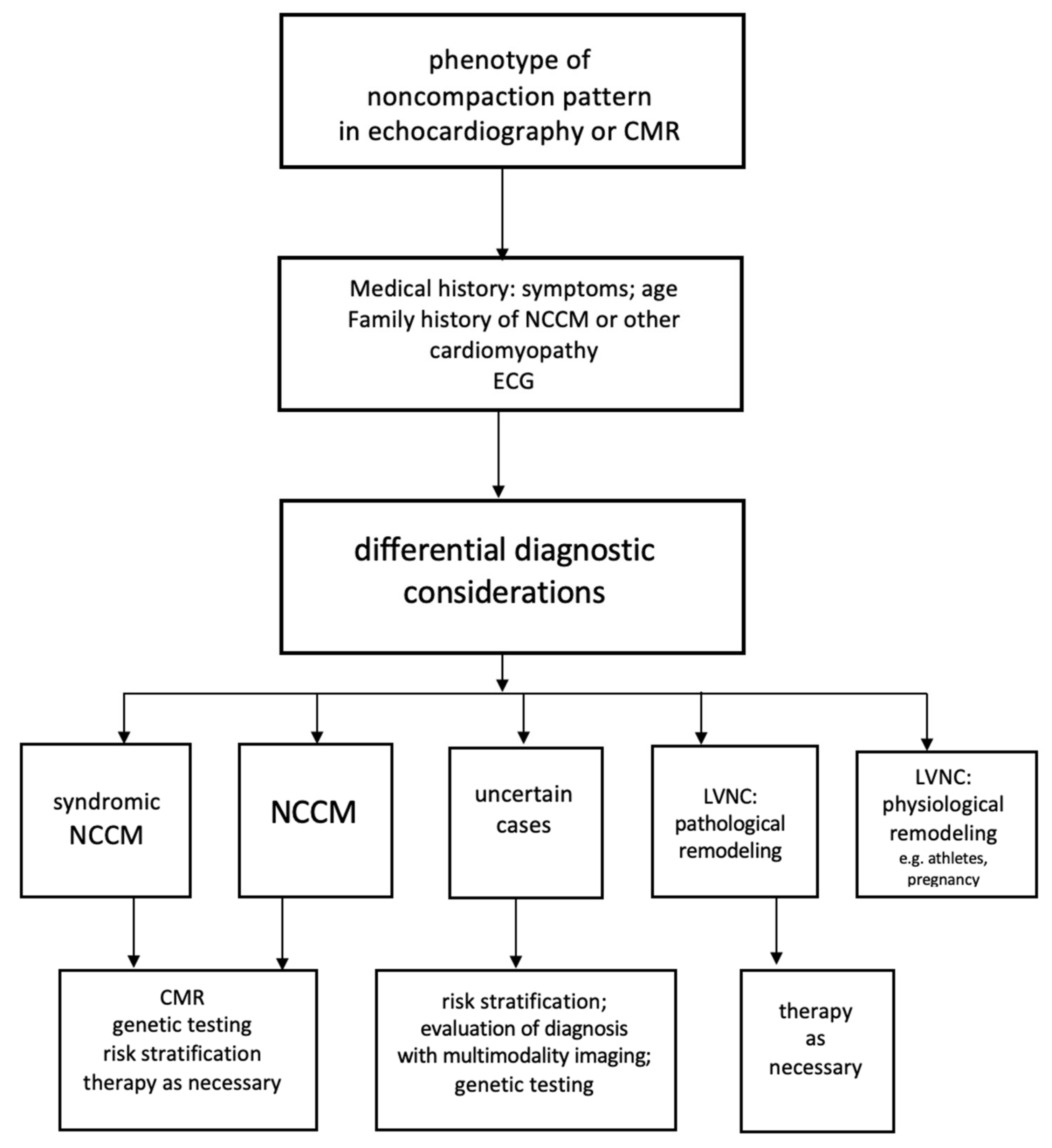 Jcm 10 02457 g004 Jcm 10 02457 g004
