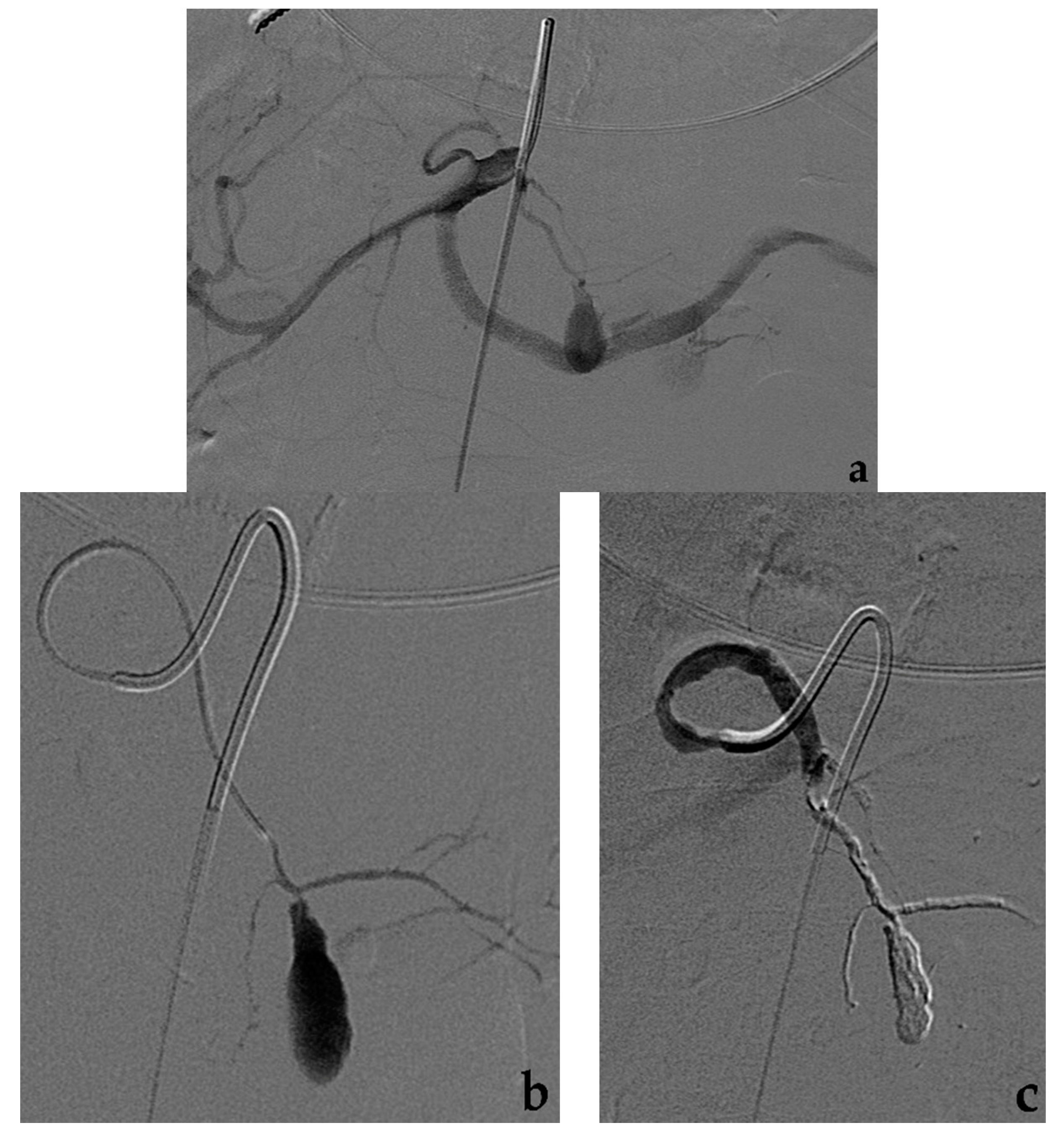 Jcm 10 02520 g007 Jcm 10 02520 g007
