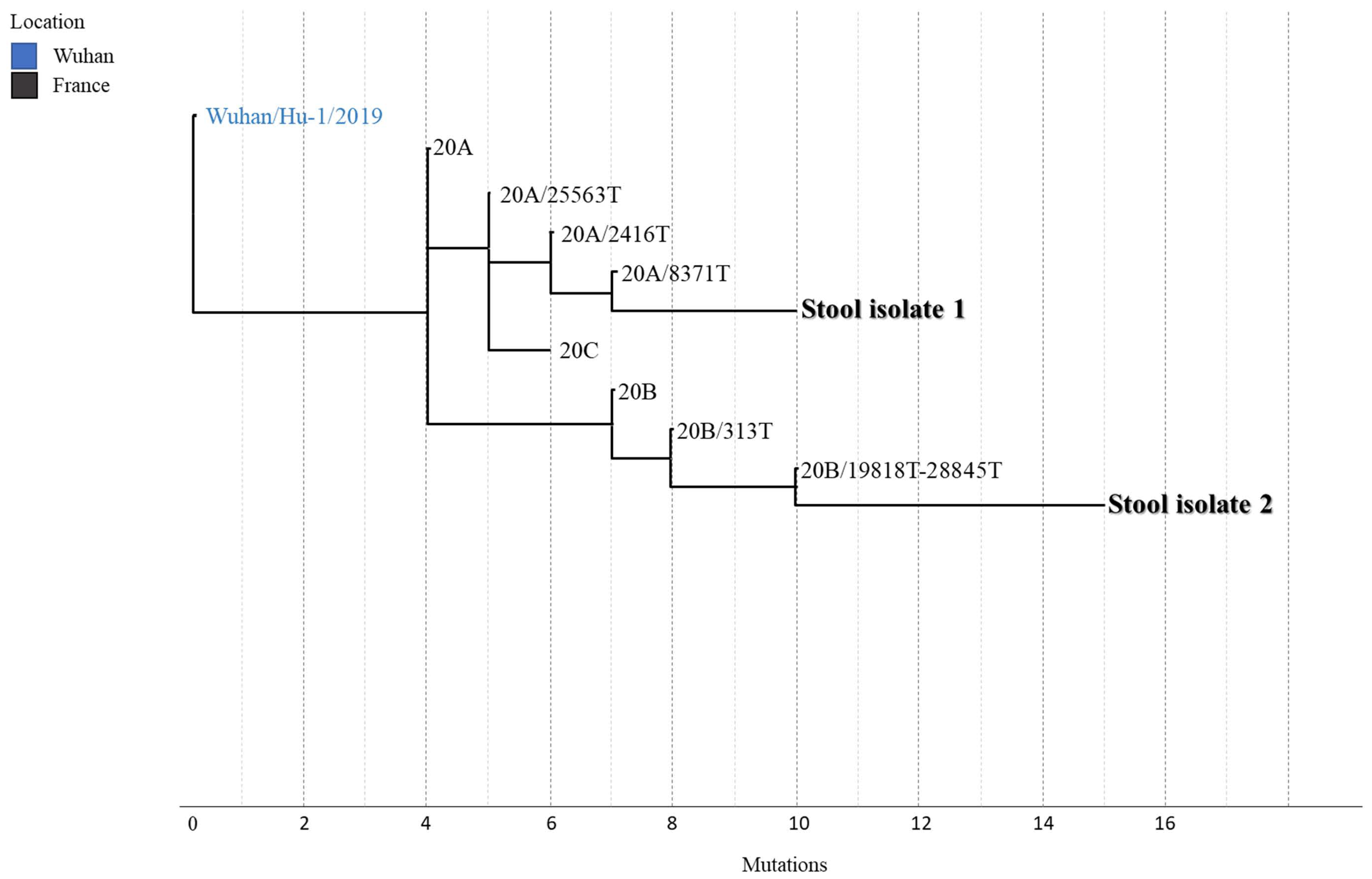 Jcm 10 02696 g002 Jcm 10 02696 g002