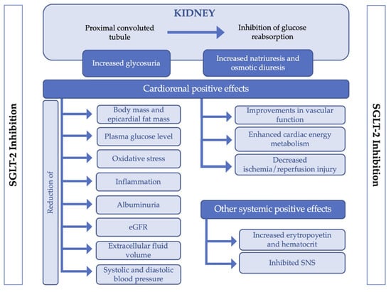 https://www.mdpi.com/jcm/jcm-10-02713/article_deploy/html/images/jcm-10-02713-g001-550.jpg