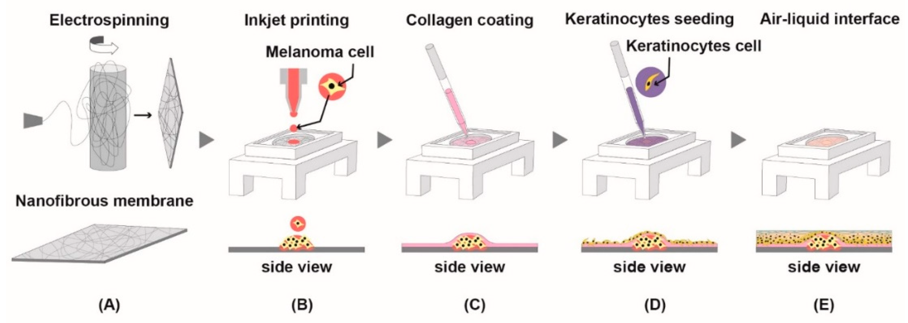 Jcm 10 02790 g004 Jcm 10 02790 g004
