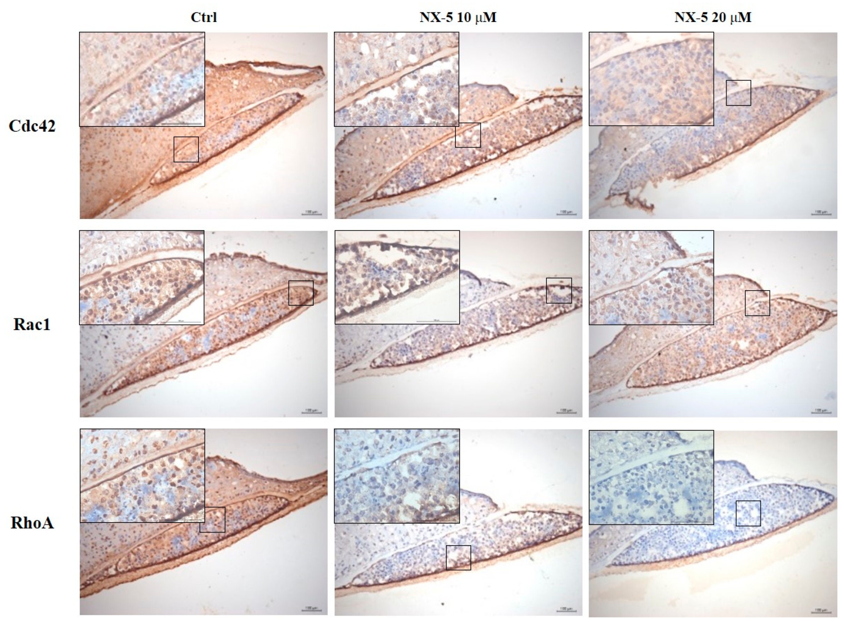 Jcm 10 02790 g005 Jcm 10 02790 g005
