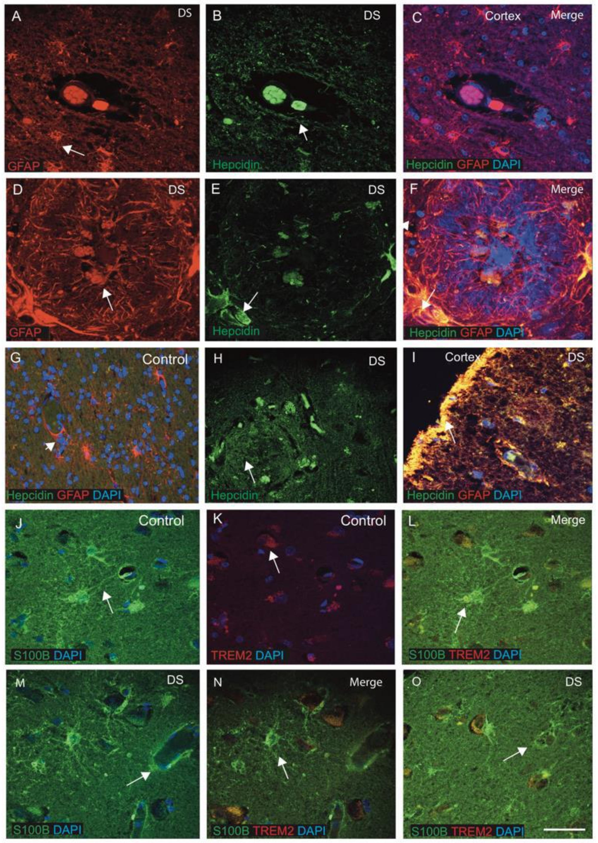 Jcm 10 02909 g002 Jcm 10 02909 g002
