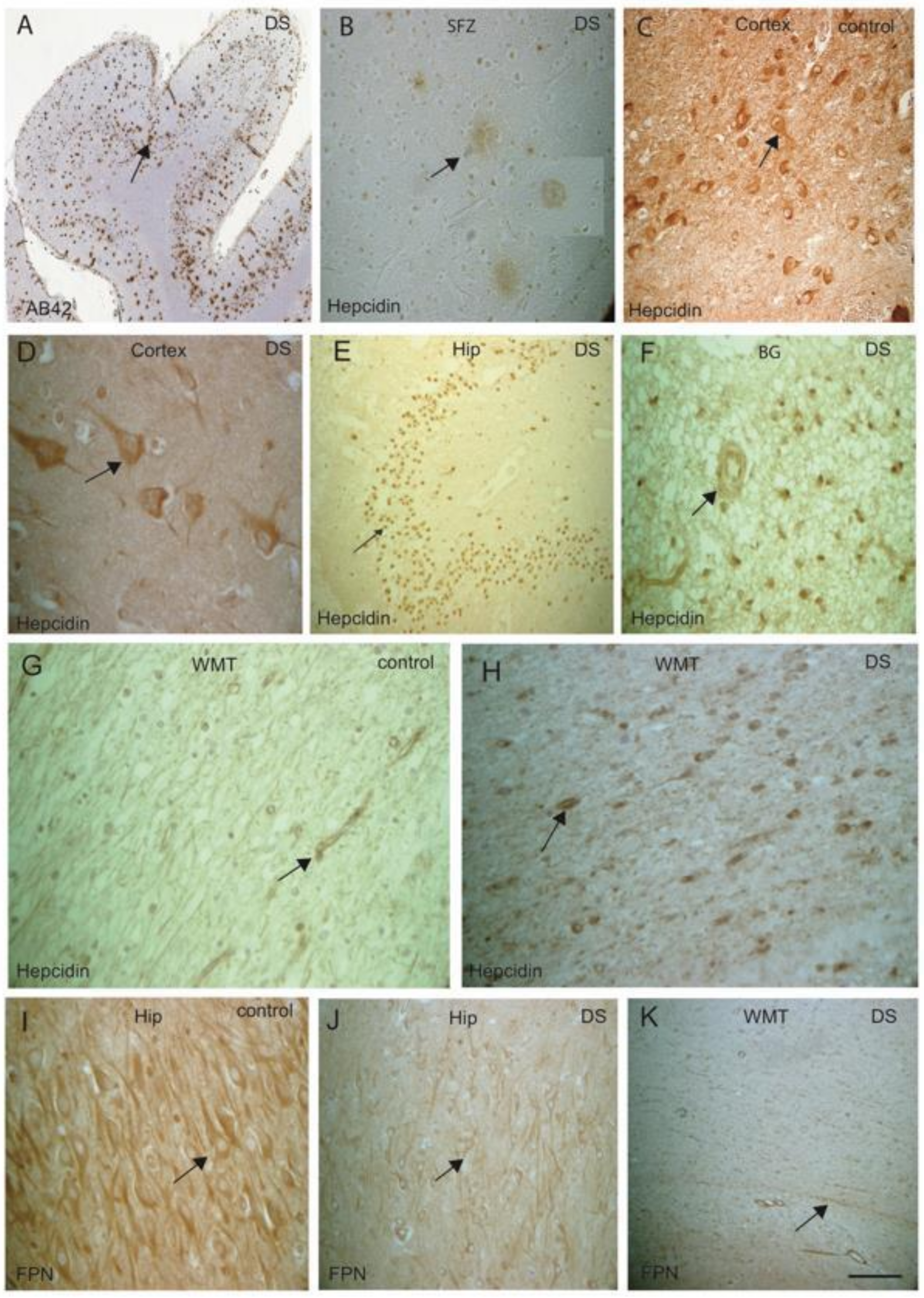 Jcm 10 02909 g003 Jcm 10 02909 g003