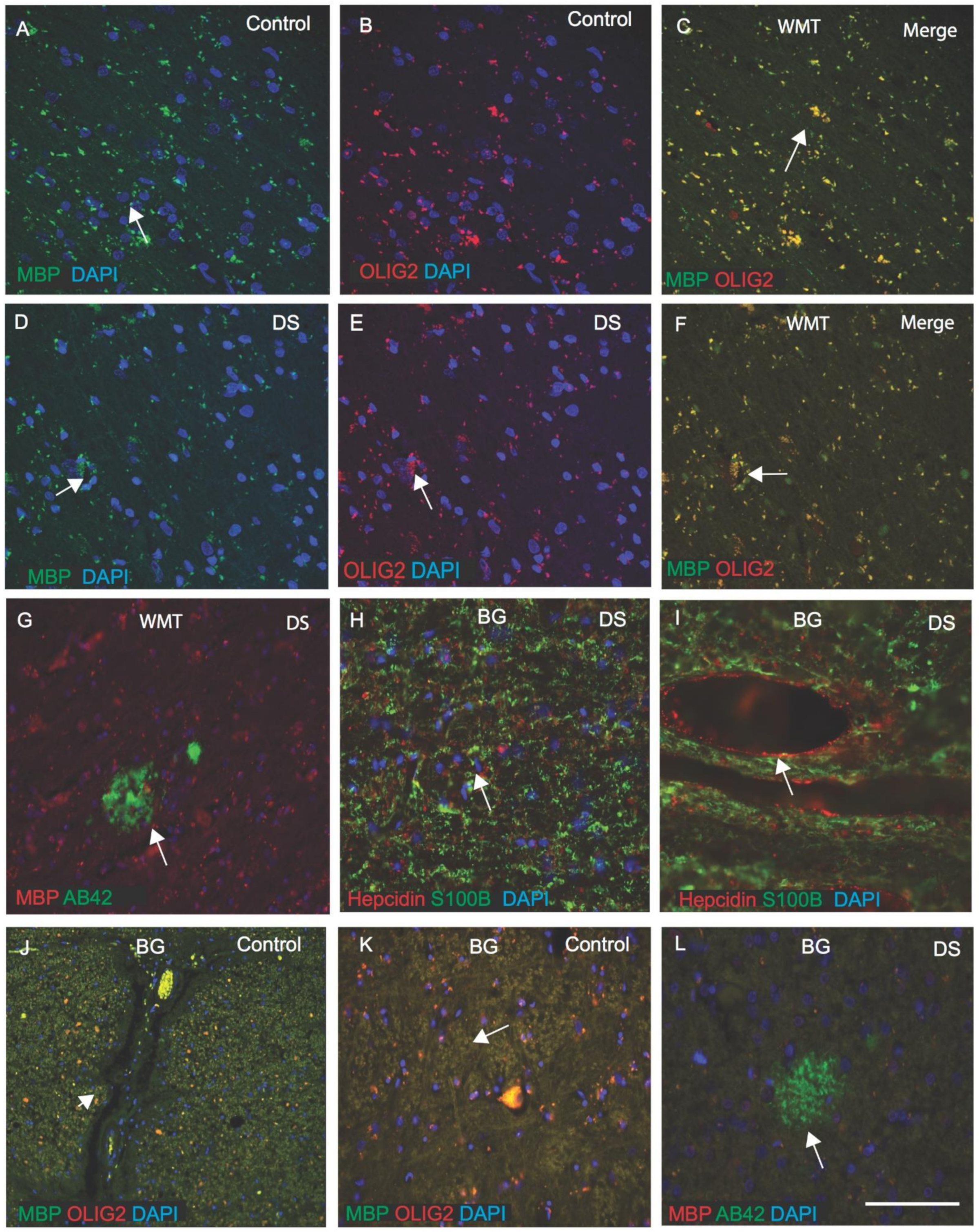 Jcm 10 02909 g006 Jcm 10 02909 g006