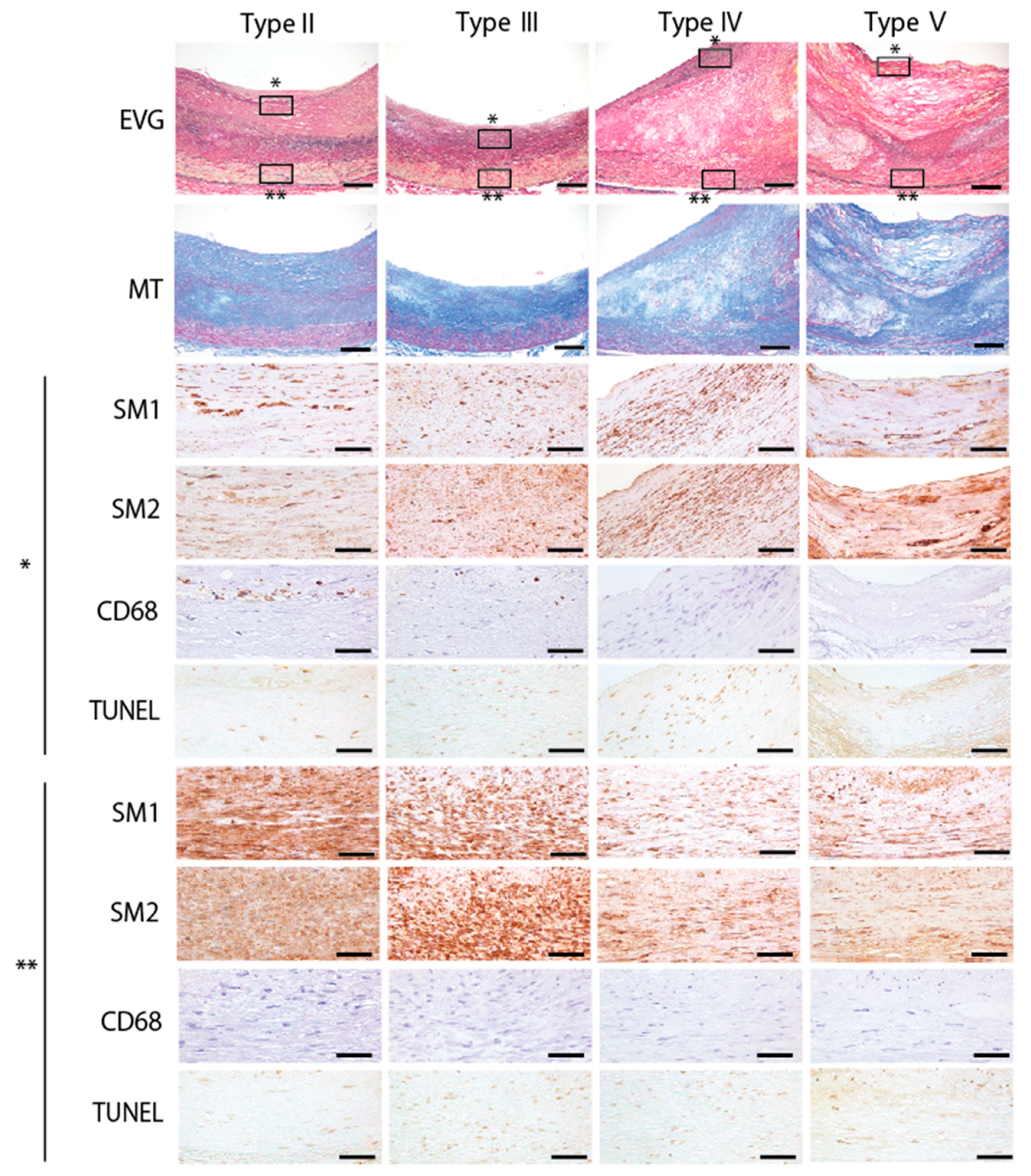 Jcm 10 03155 g004 Jcm 10 03155 g004