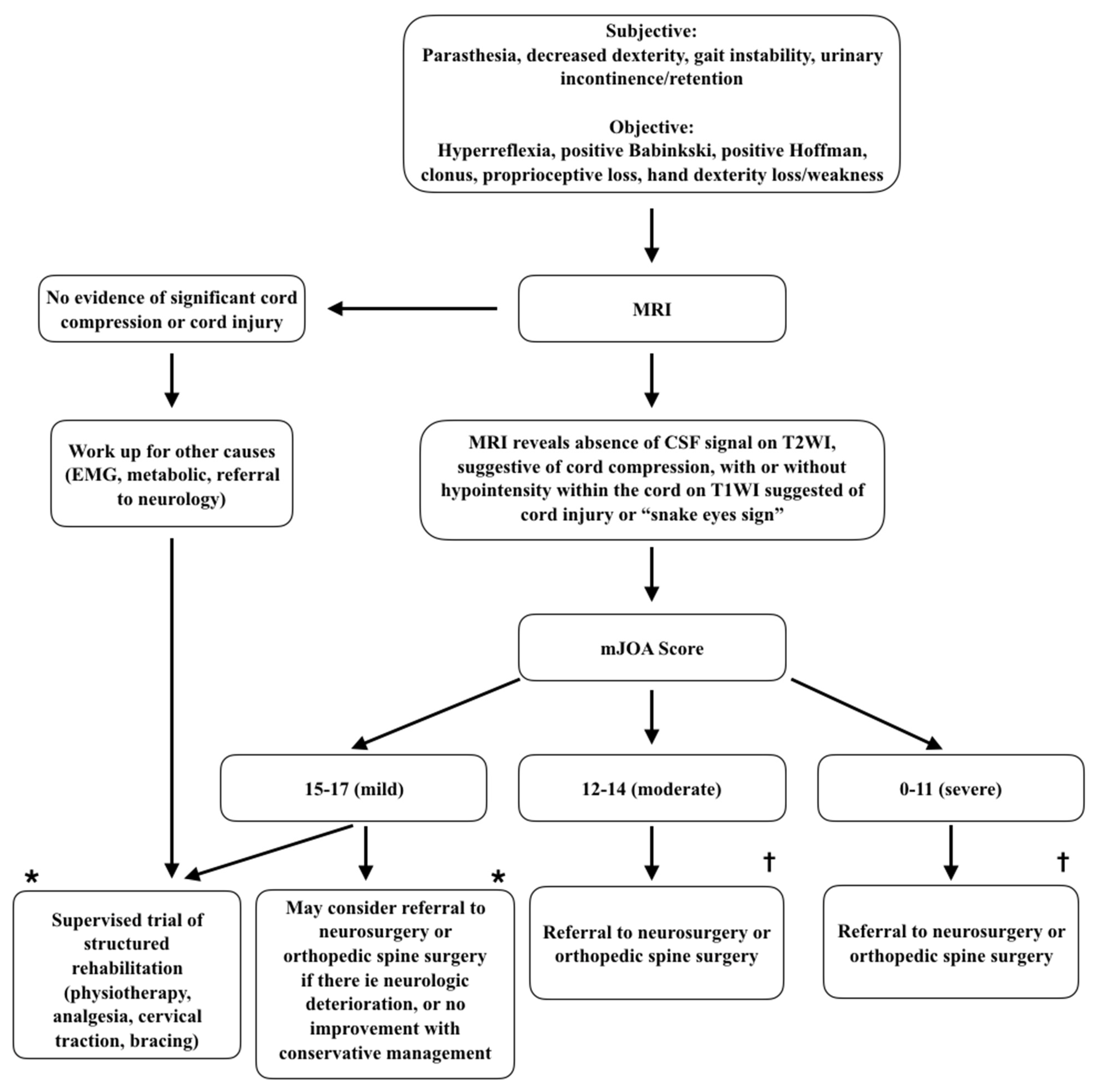 Jcm Free Full Text Degenerative Cervical Myelopathy Clinical Presentation Assessment And Natural History Html