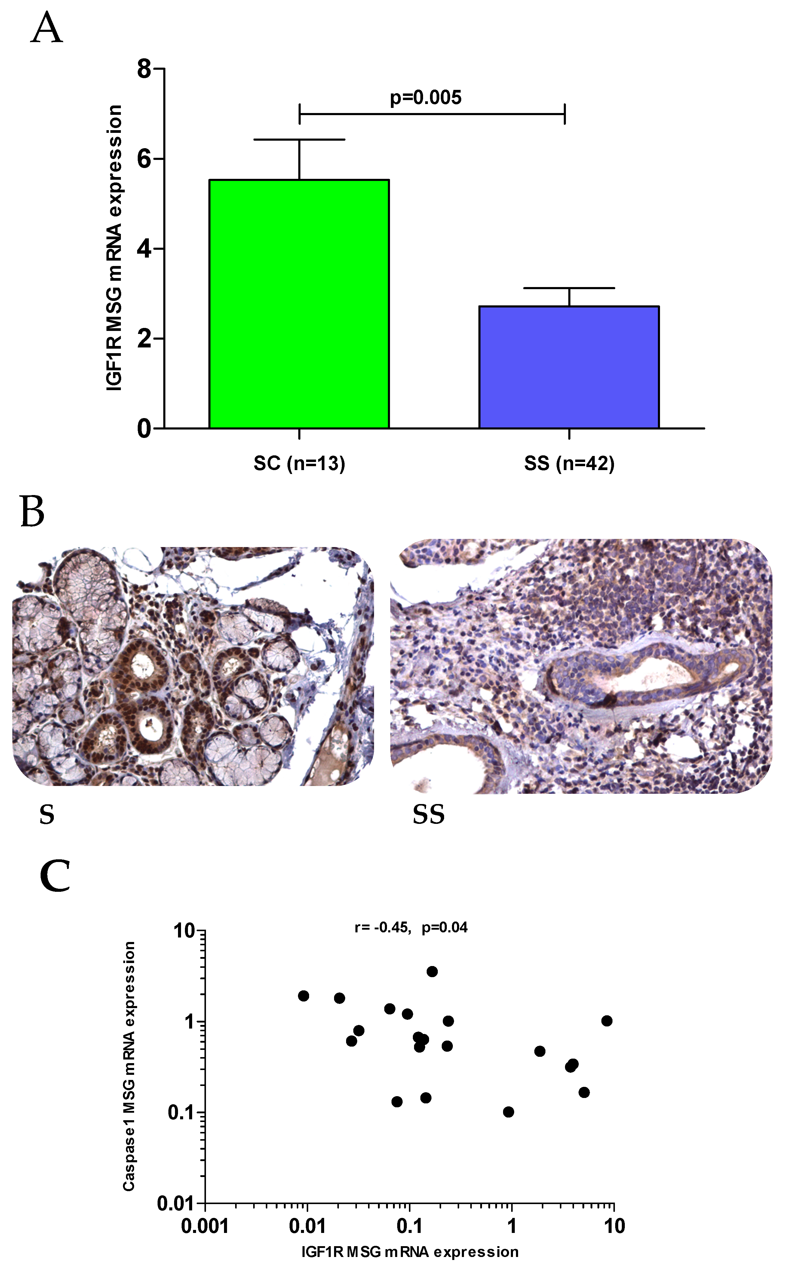 Jcm 10 03960 g002 Jcm 10 03960 g002