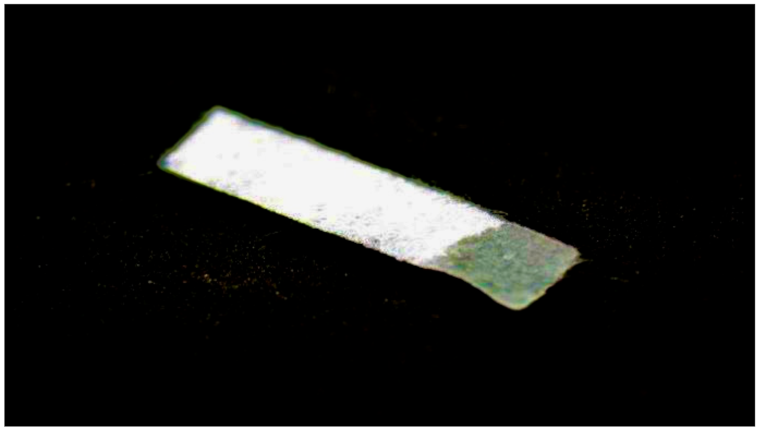 Jcm 10 04705 g004 Jcm 10 04705 g004