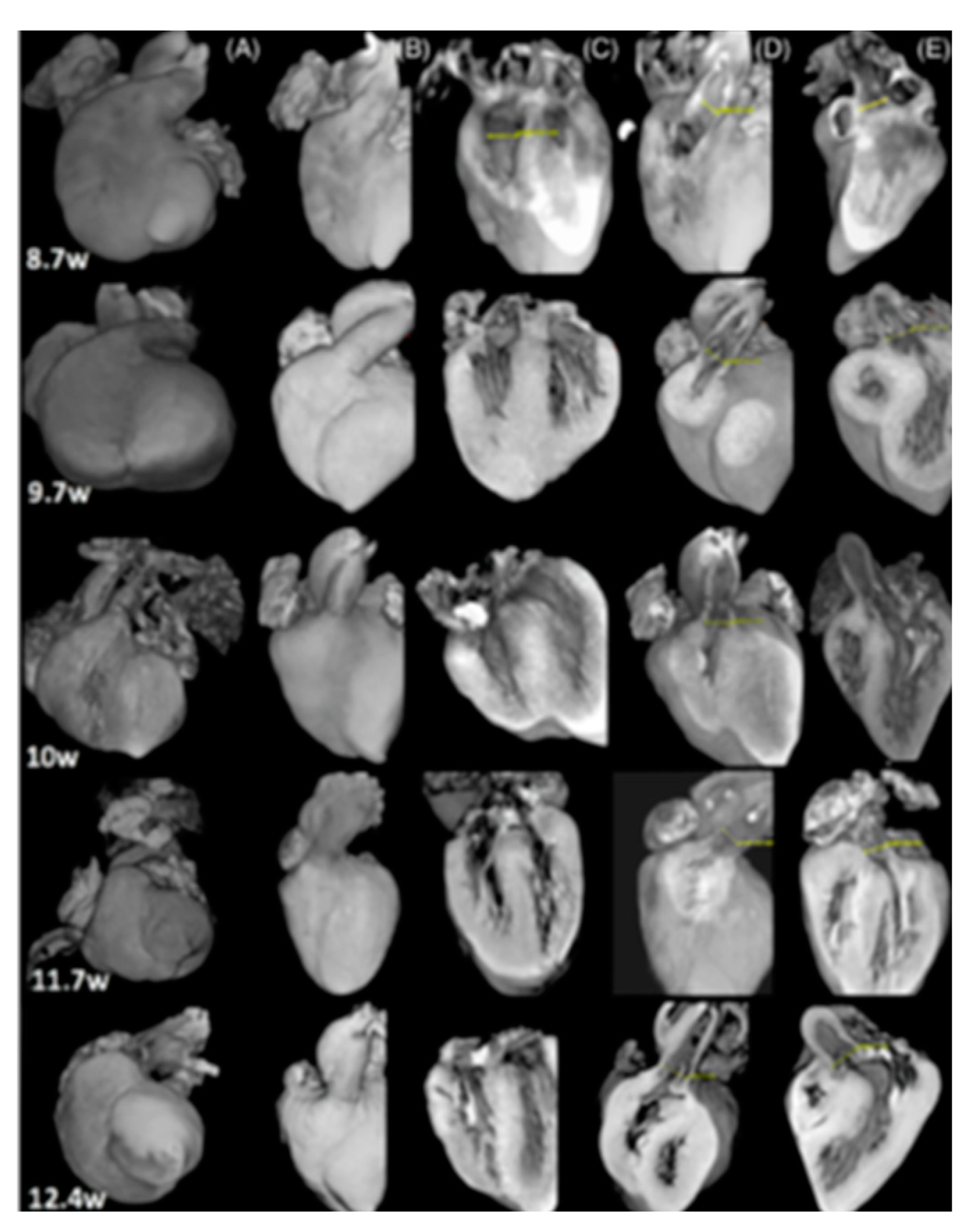 Jcm 10 04726 g002