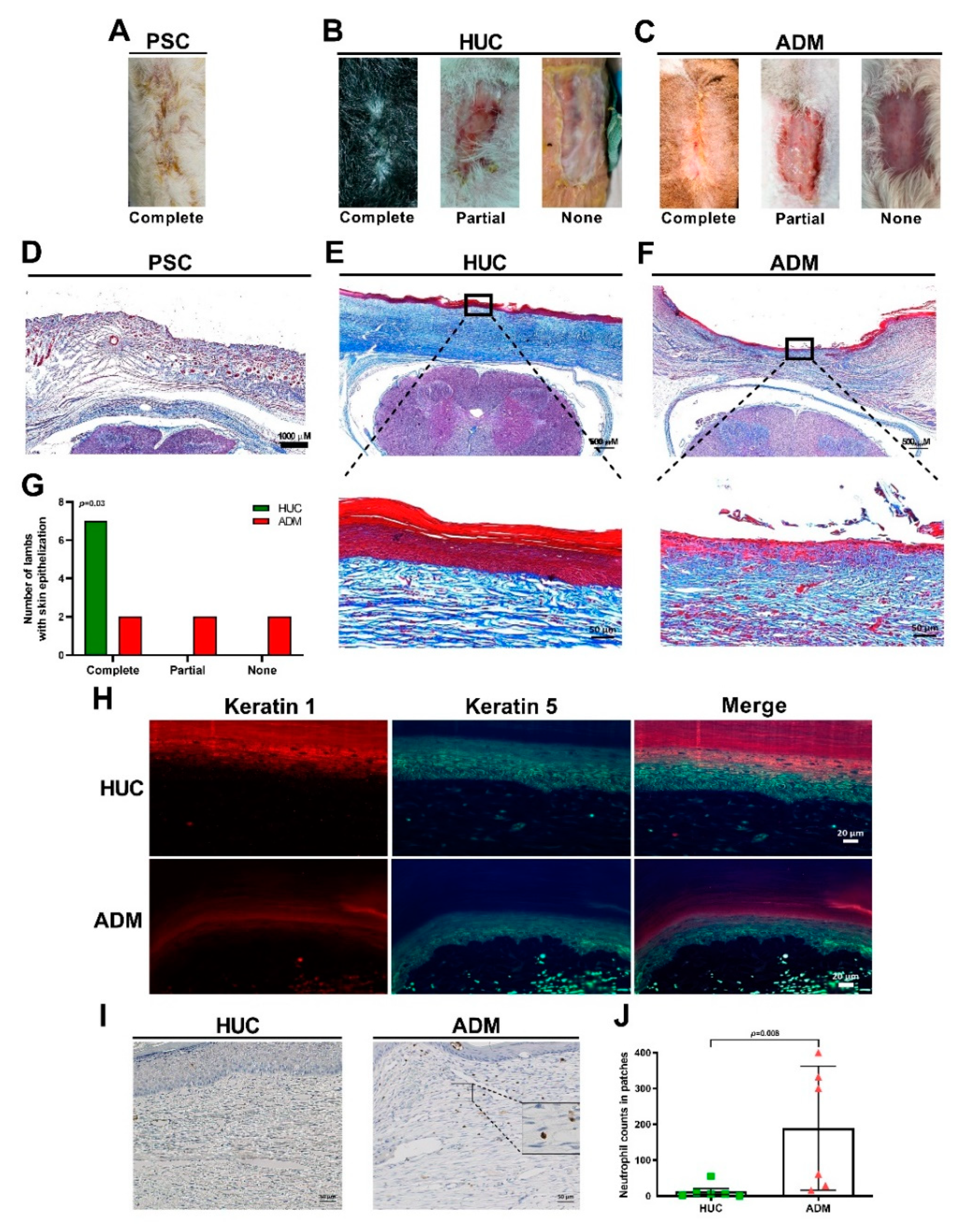 Jcm 10 04928 g003 Jcm 10 04928 g003