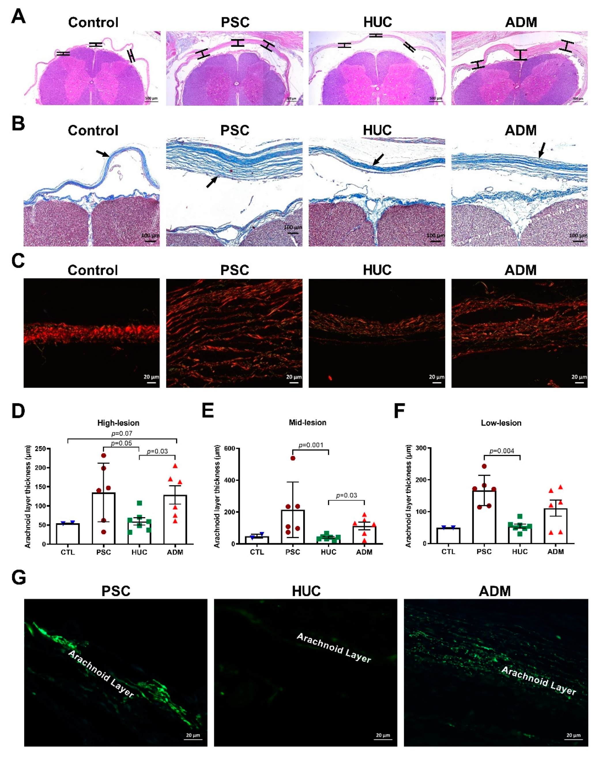 Jcm 10 04928 g005 Jcm 10 04928 g005