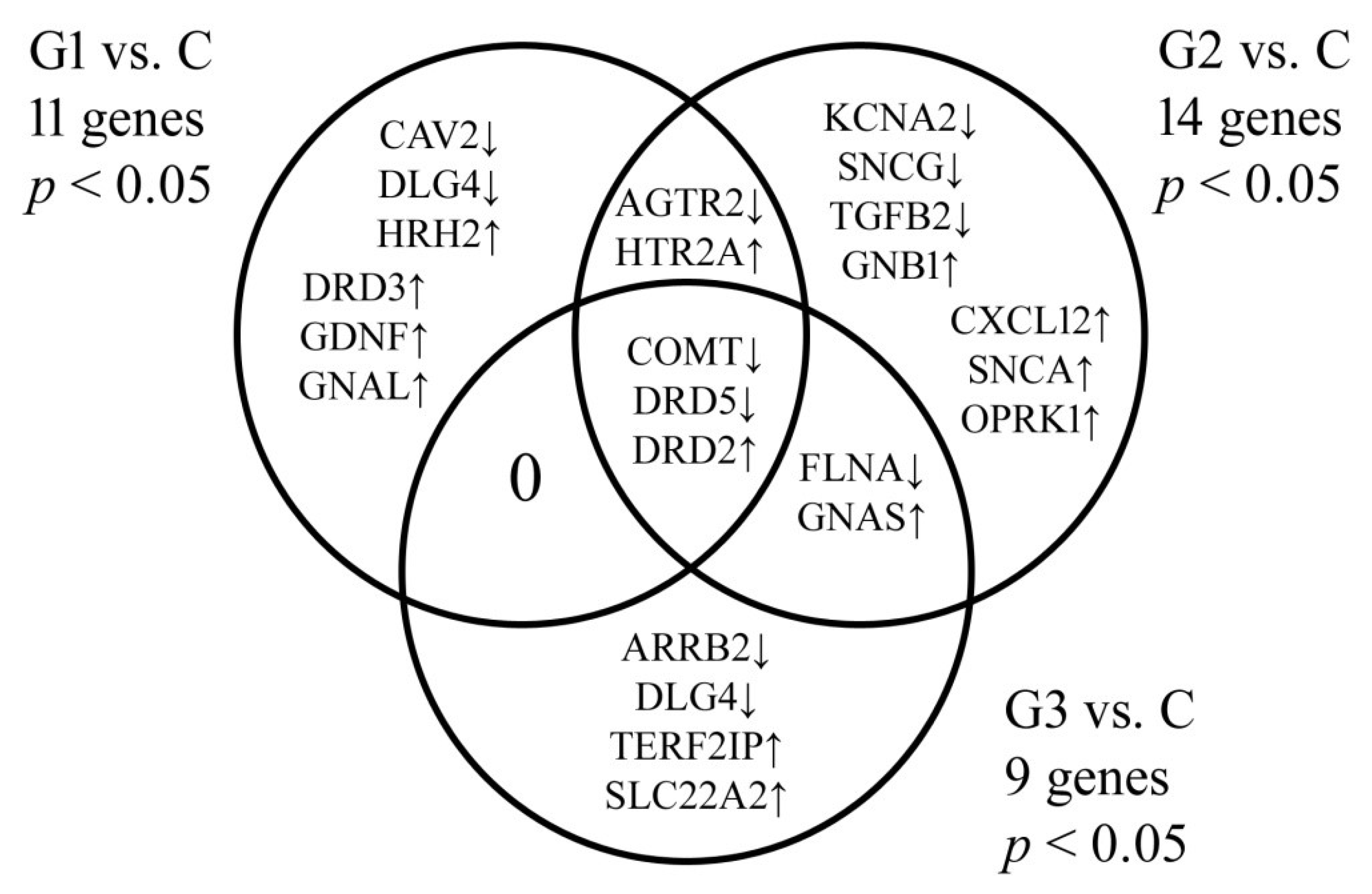 JCM | Free Full-Text | miRNAs in the Expression Regulation of Dopamine ...