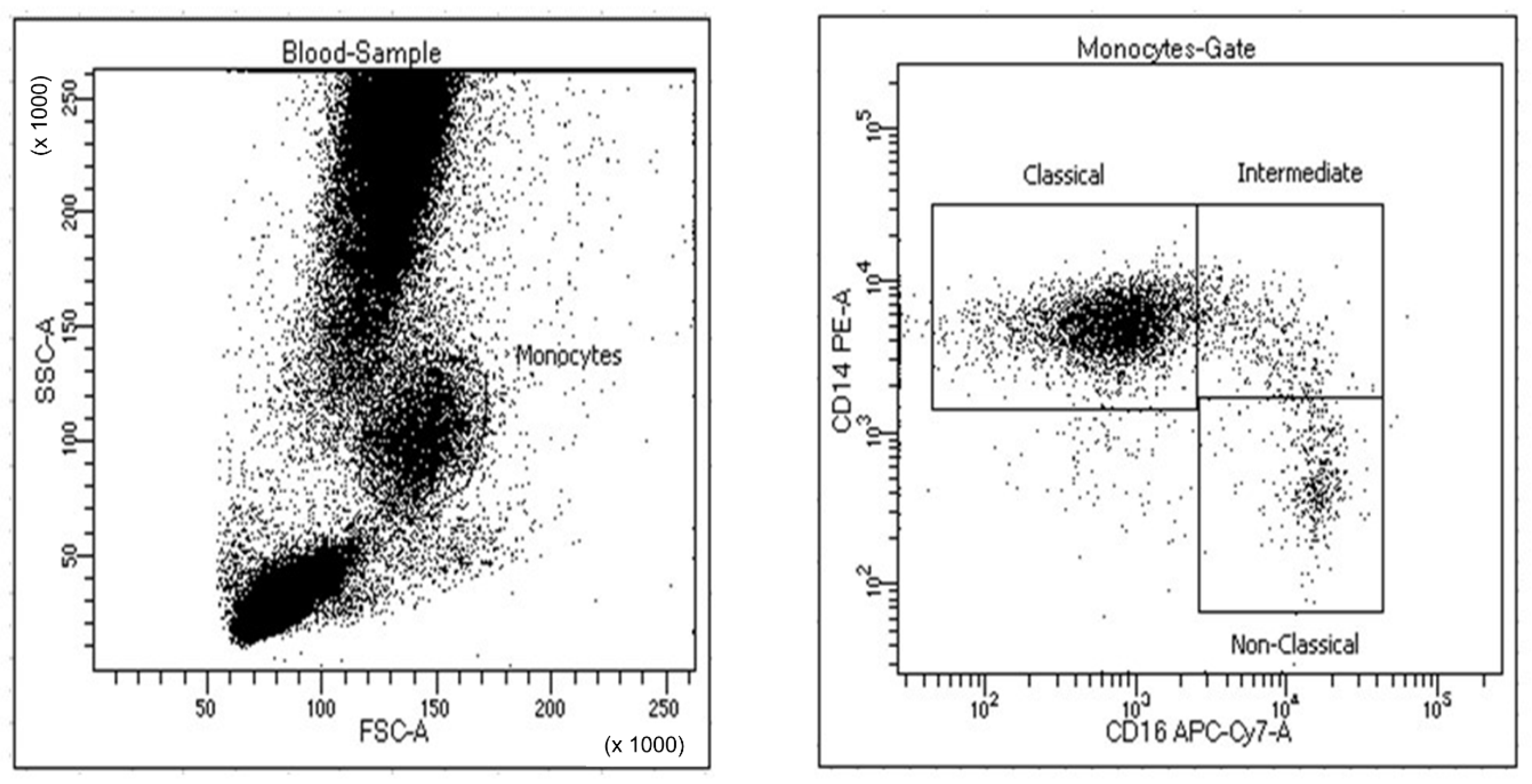 Jcm 10 05051 g001 Jcm 10 05051 g001