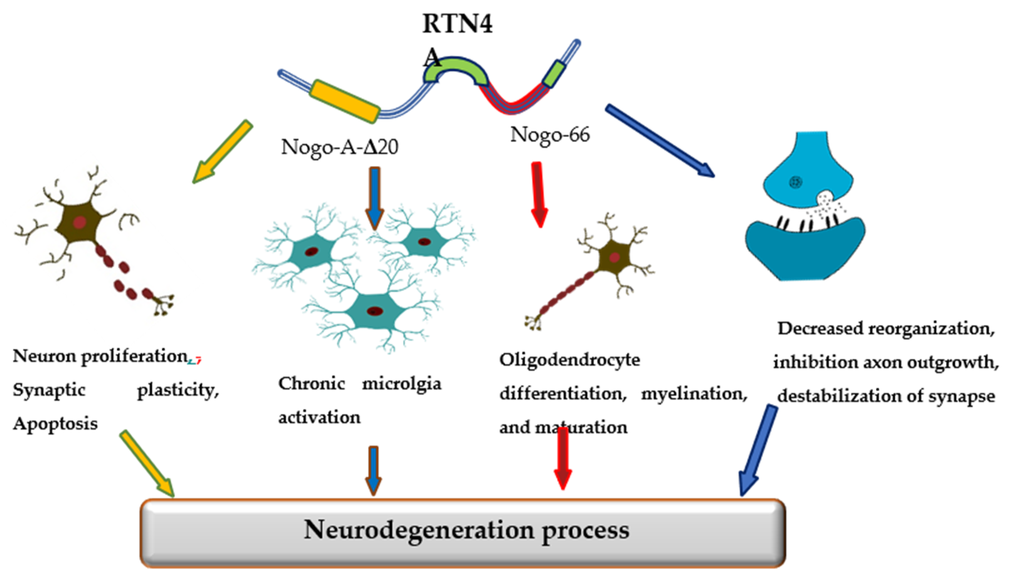 Jcm 10 05281 g001 Jcm 10 05281 g001