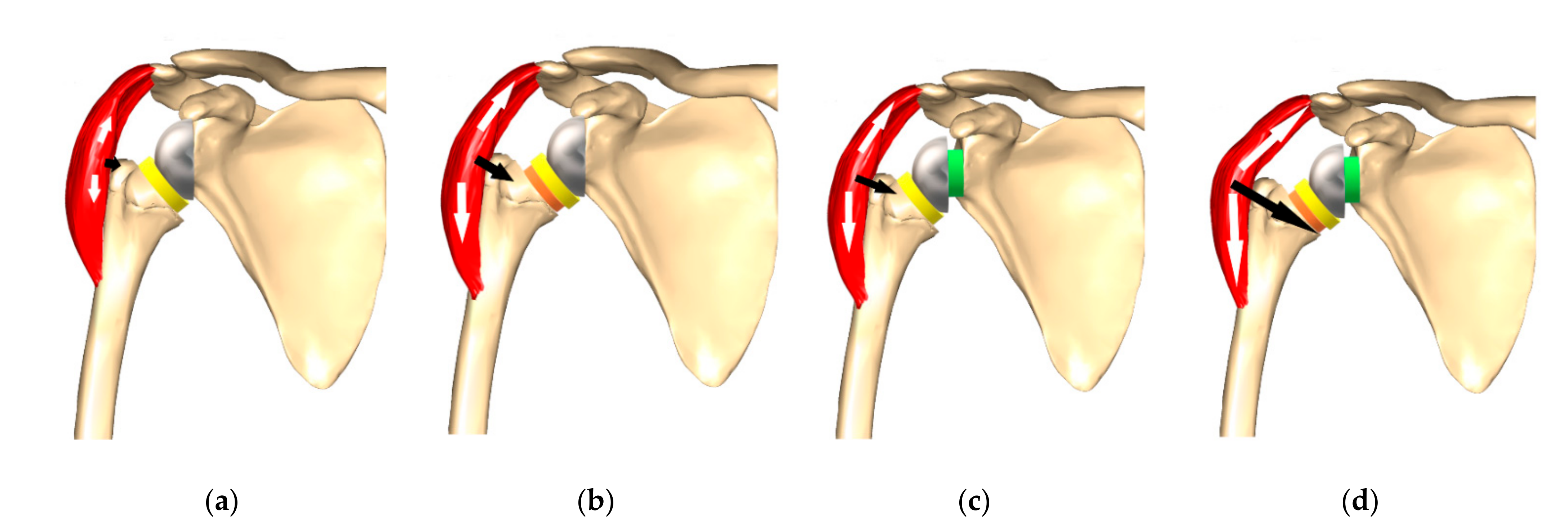 https://www.mdpi.com/jcm/jcm-10-05380/article_deploy/html/images/jcm-10-05380-g001.png