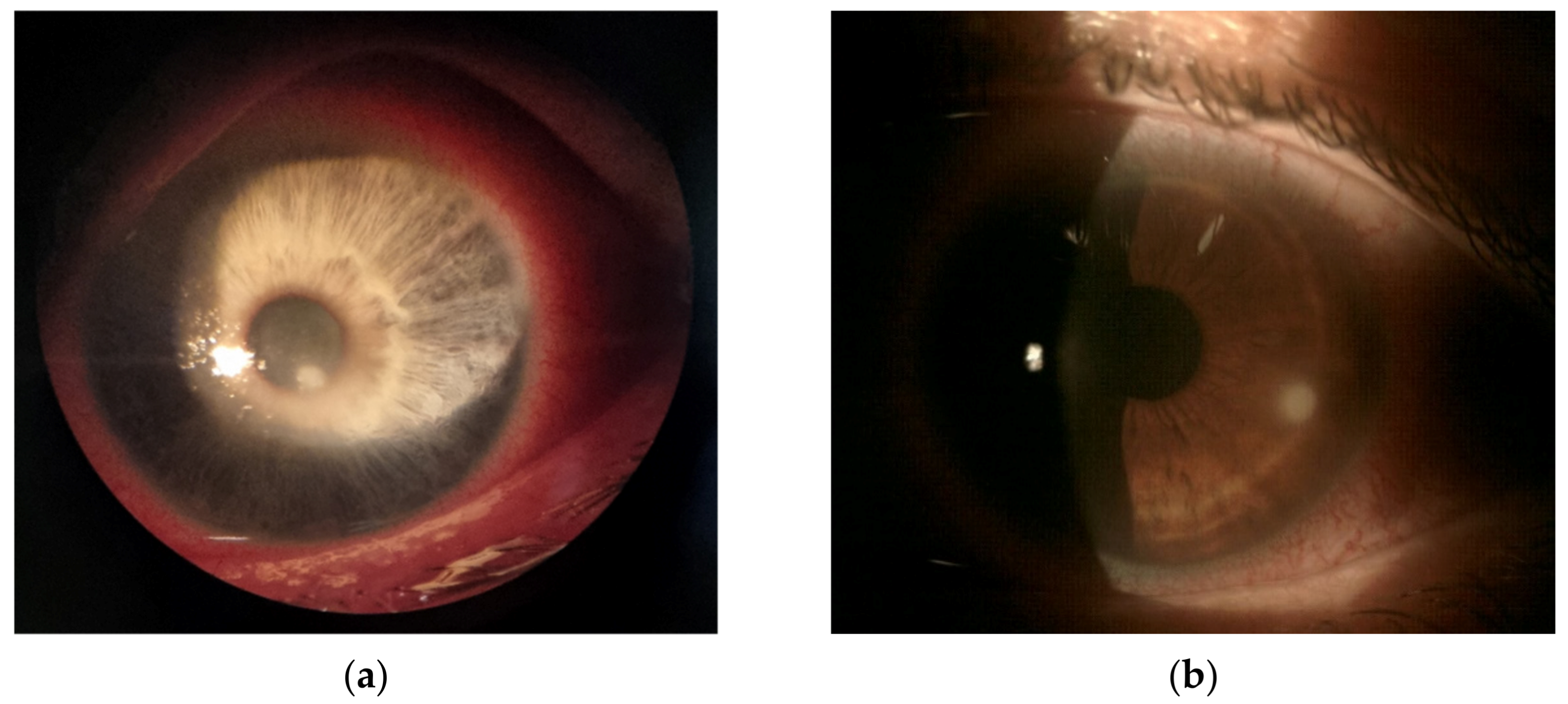 Jcm 10 05468 g001 Jcm 10 05468 g001