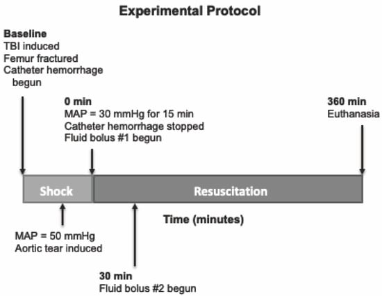 JCM | Free Full-Text | A Multifunctional, Low-Volume Resuscitation Cocktail  Improves Vital Organ Blood Flow and Hemostasis in a Pig Model of Polytrauma  with Traumatic Brain Injury