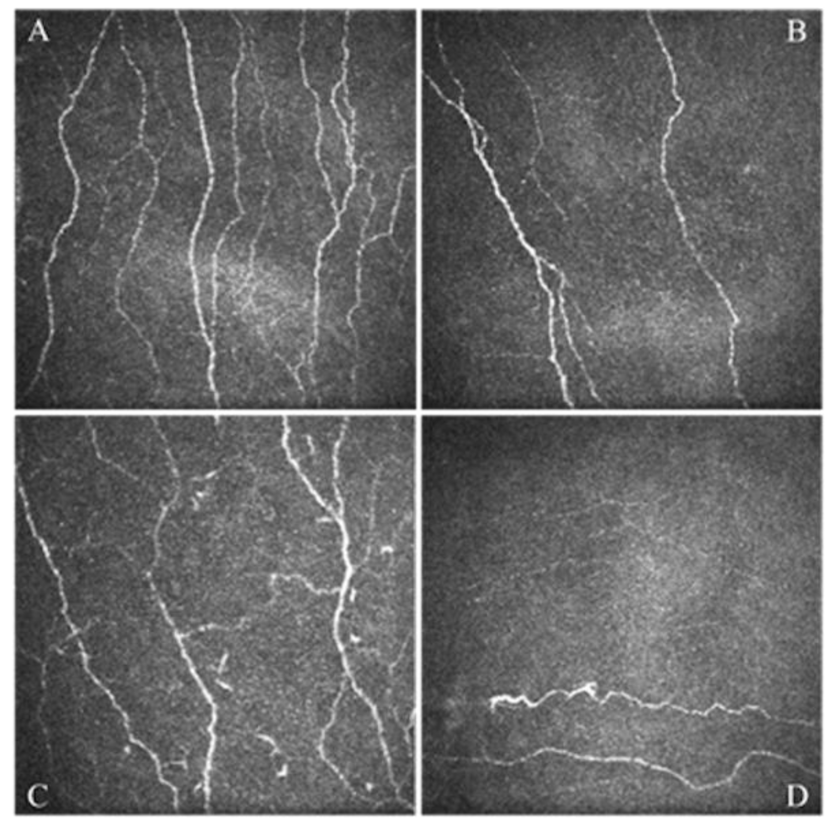 Jcm 11 00108 g001 Jcm 11 00108 g001