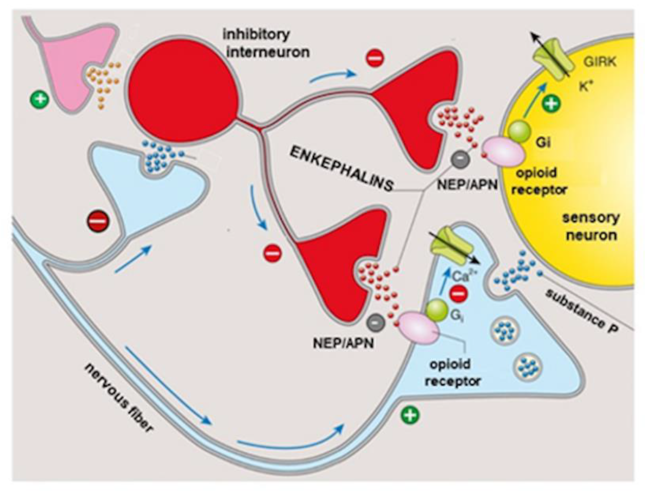 Jcm 11 00108 g002 Jcm 11 00108 g002