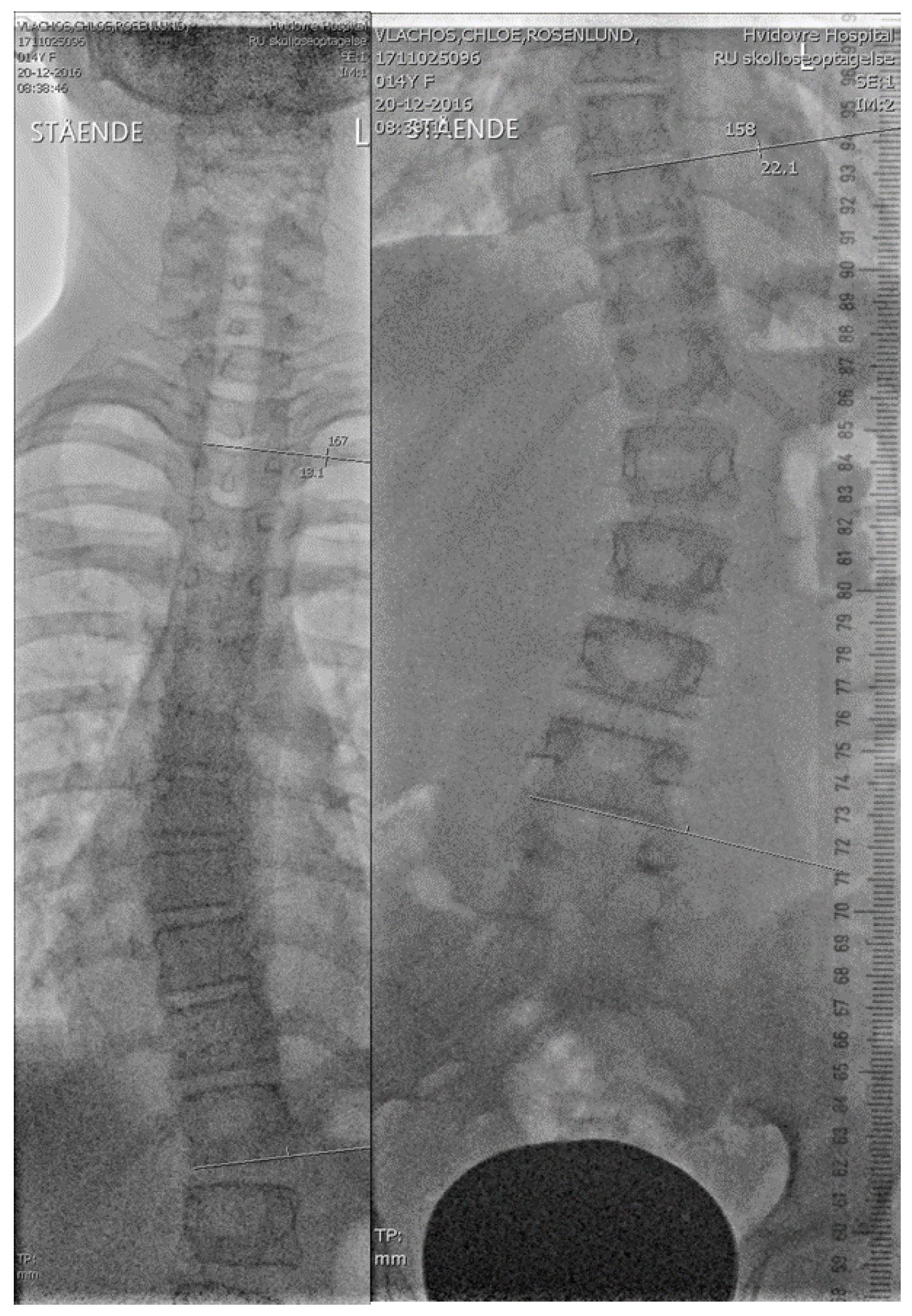 Jcm 11 00264 g002 Jcm 11 00264 g002