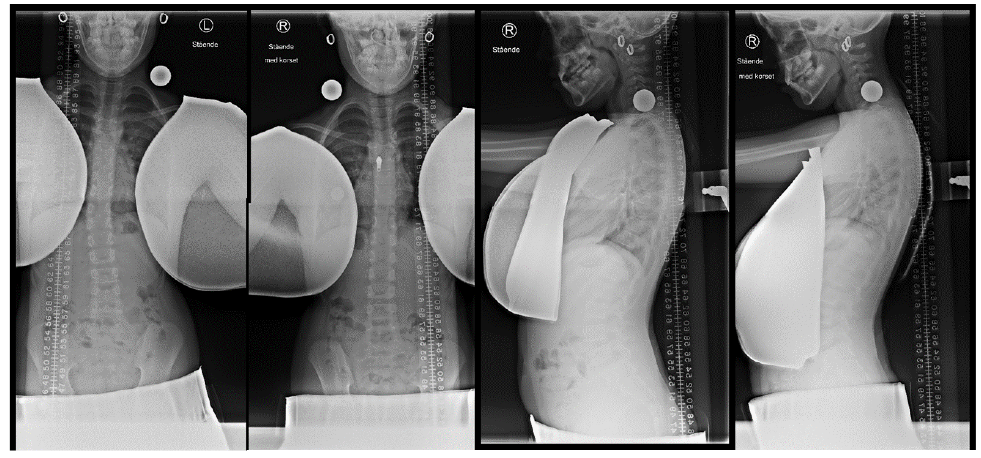 Jcm 11 00264 g004 Jcm 11 00264 g004