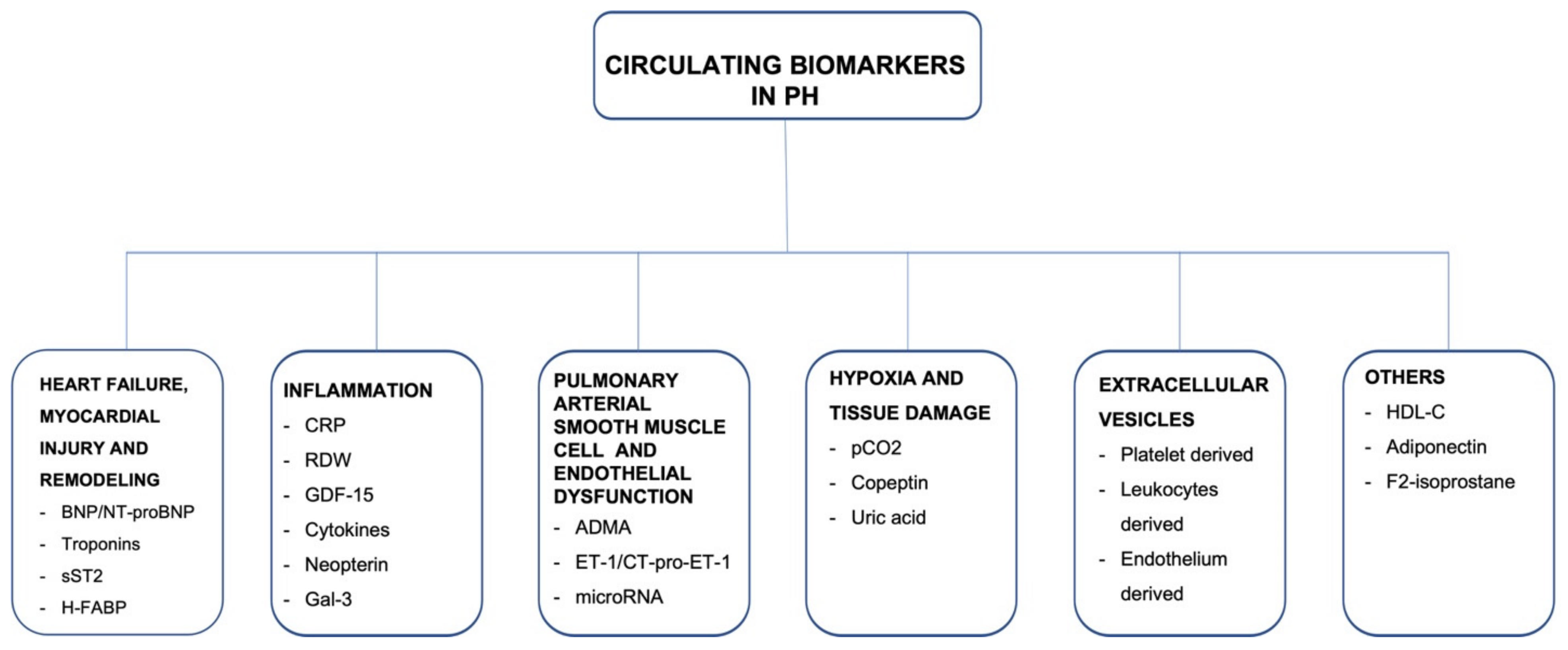 Jcm 11 00383 g001 Jcm 11 00383 g001
