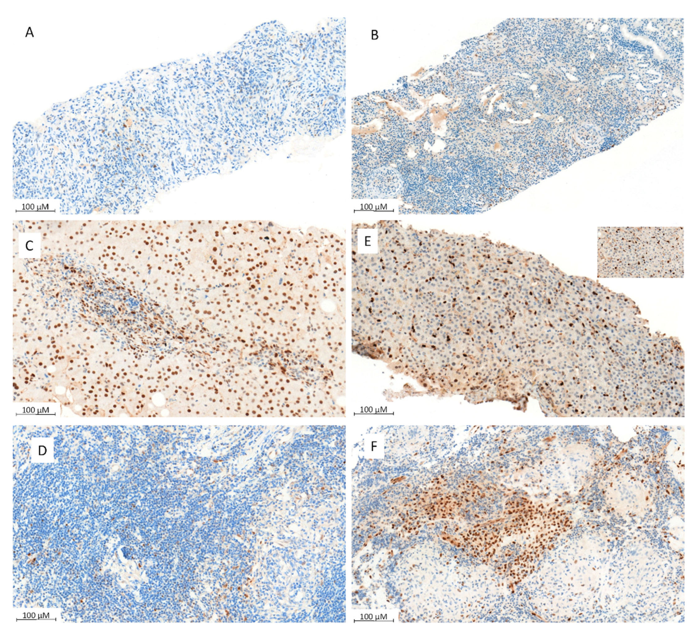 Jcm 11 00604 g003 Jcm 11 00604 g003
