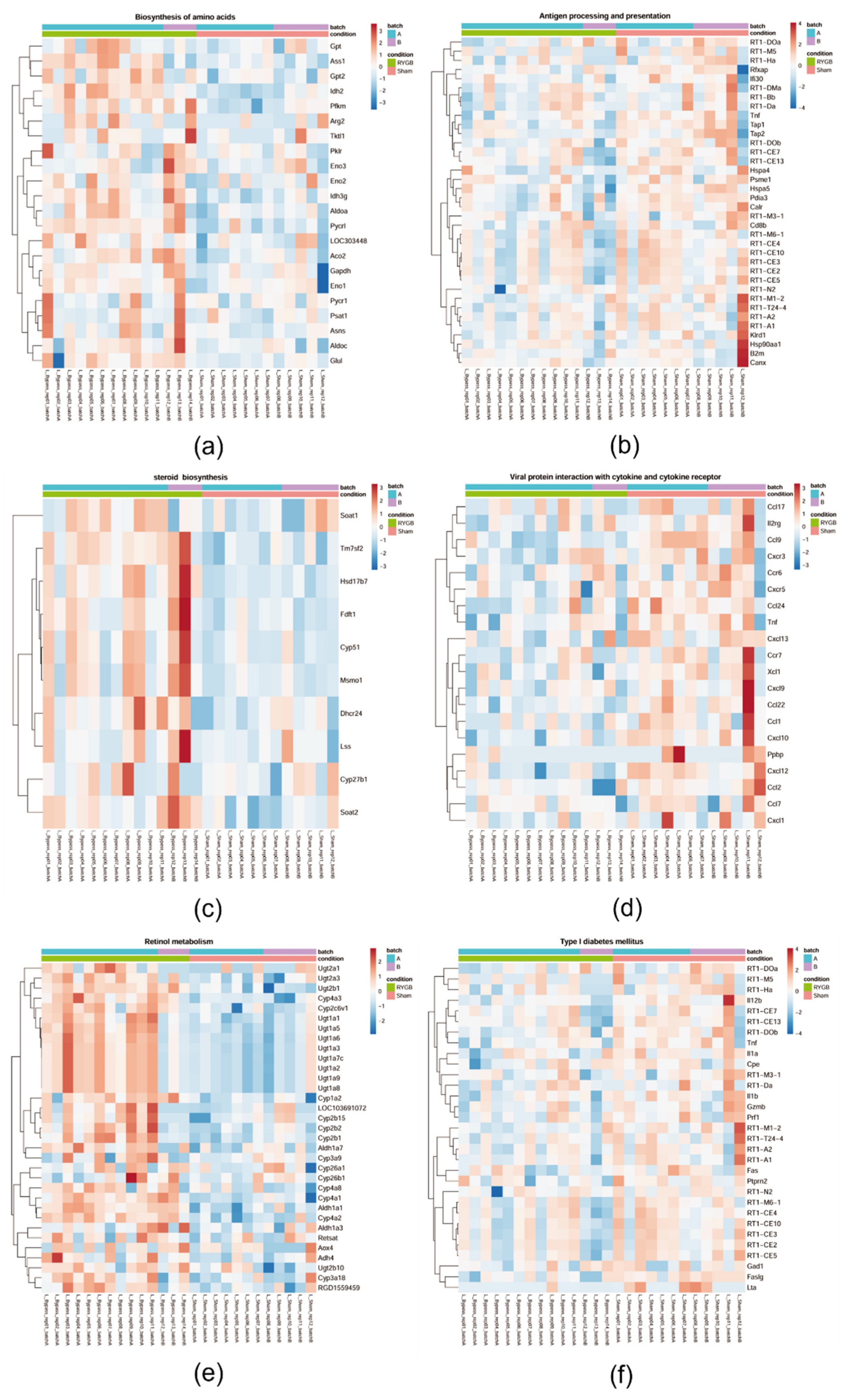 Jcm 11 00753 g005 Jcm 11 00753 g005