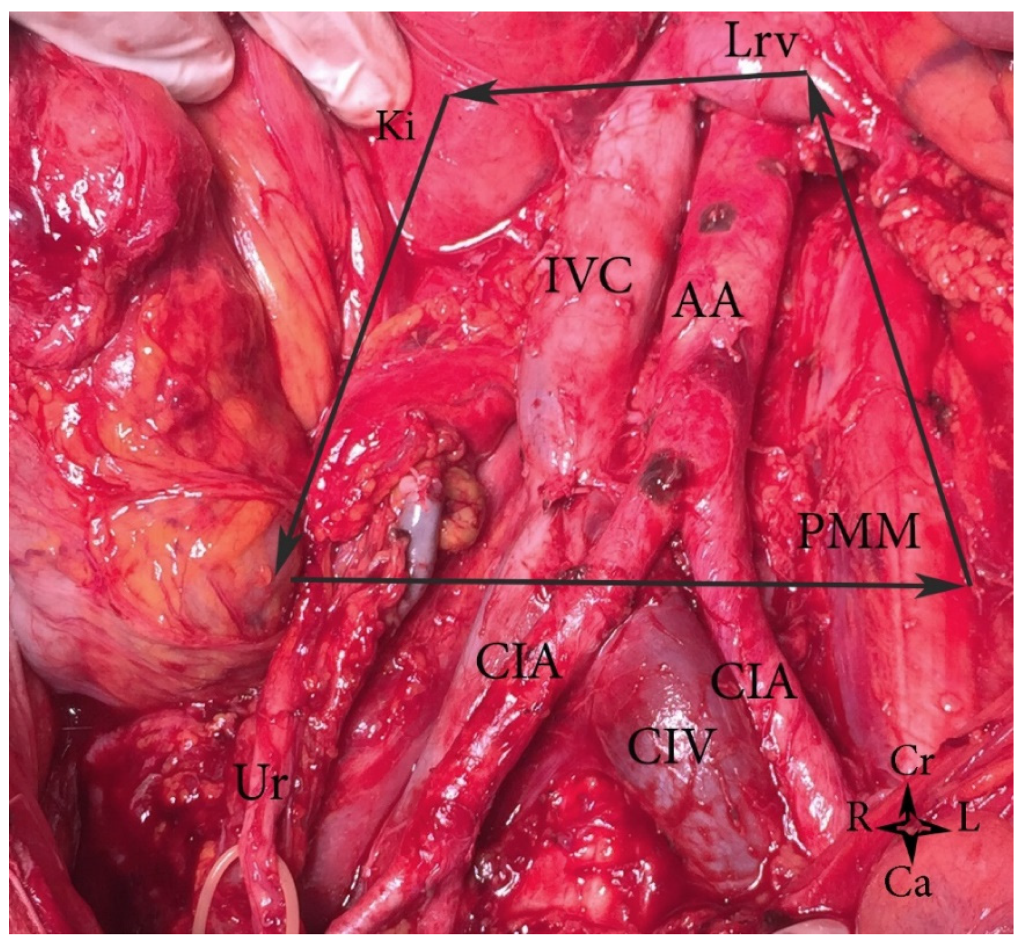 Jcm 11 00953 g005 Jcm 11 00953 g005