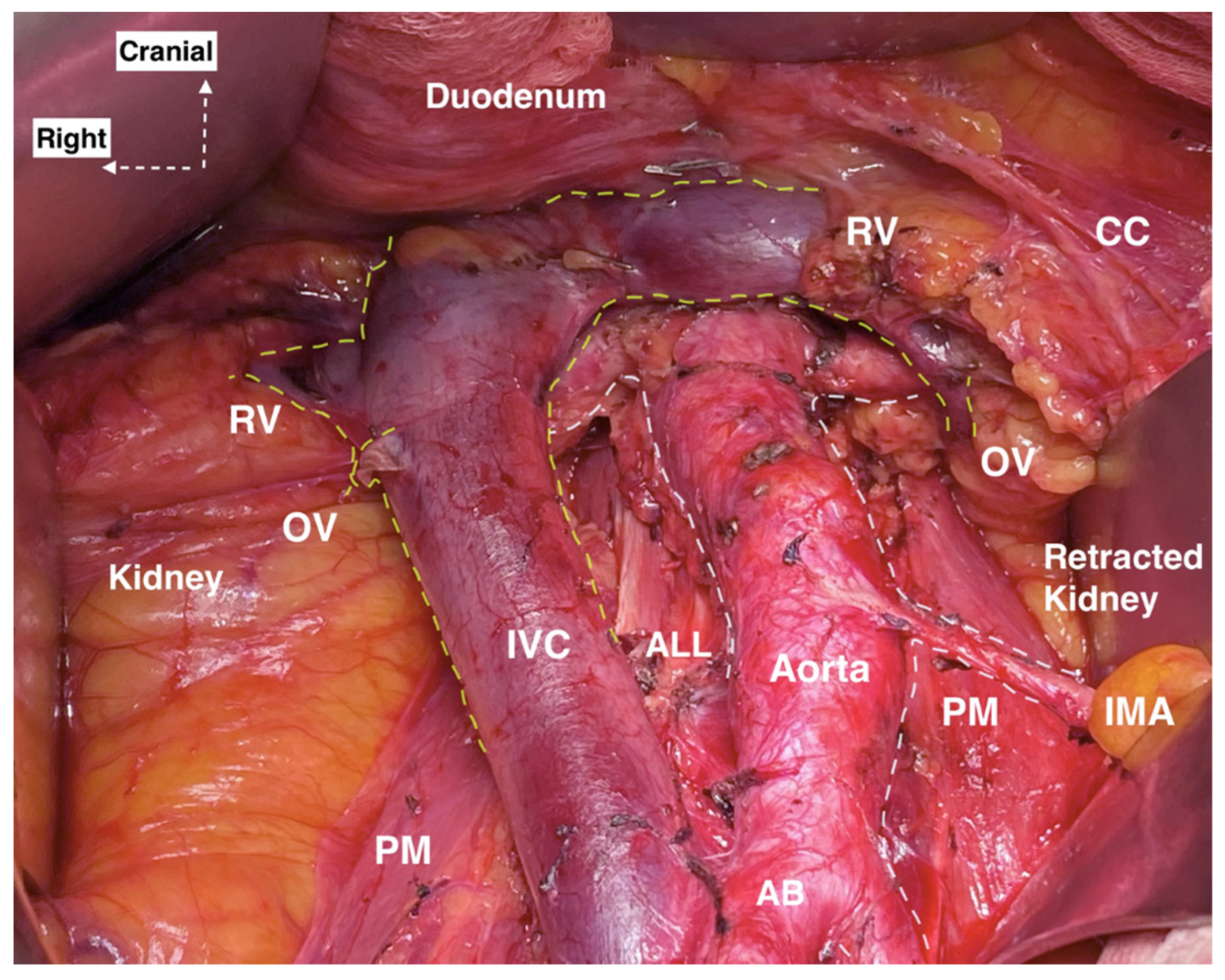 Jcm 11 00953 g007 Jcm 11 00953 g007