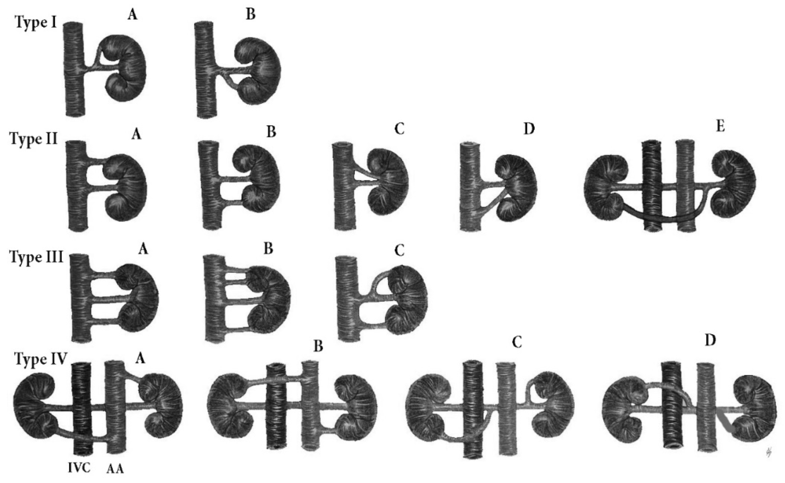 Jcm 11 00953 g013 Jcm 11 00953 g013