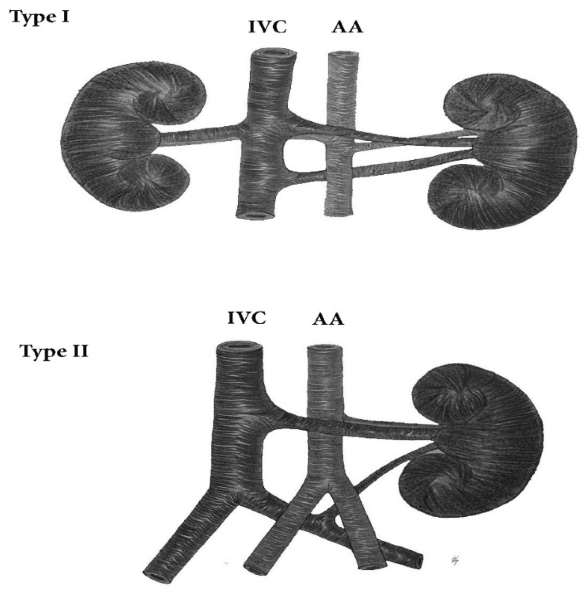 Jcm 11 00953 g014 Jcm 11 00953 g014
