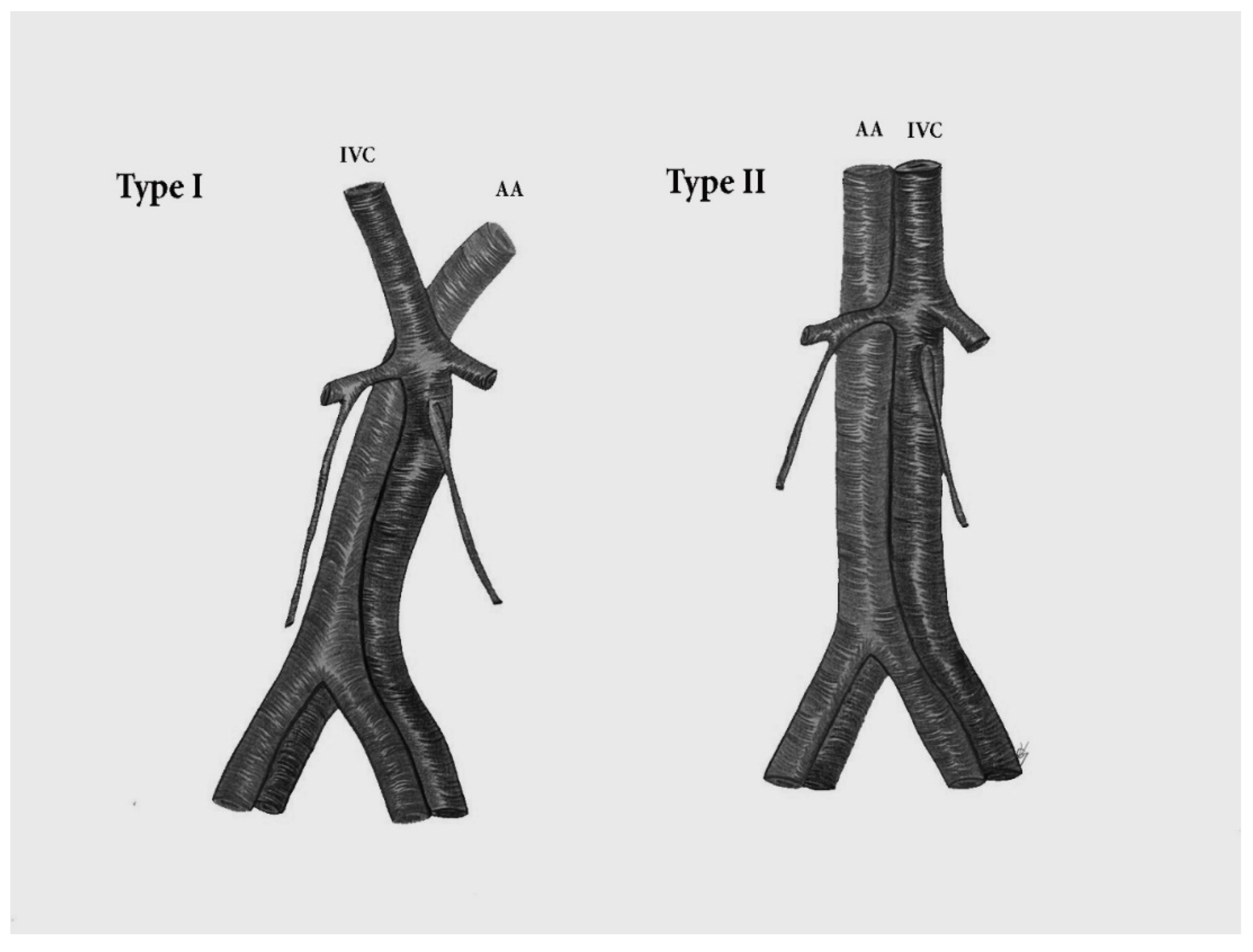 Jcm 11 00953 g016 Jcm 11 00953 g016