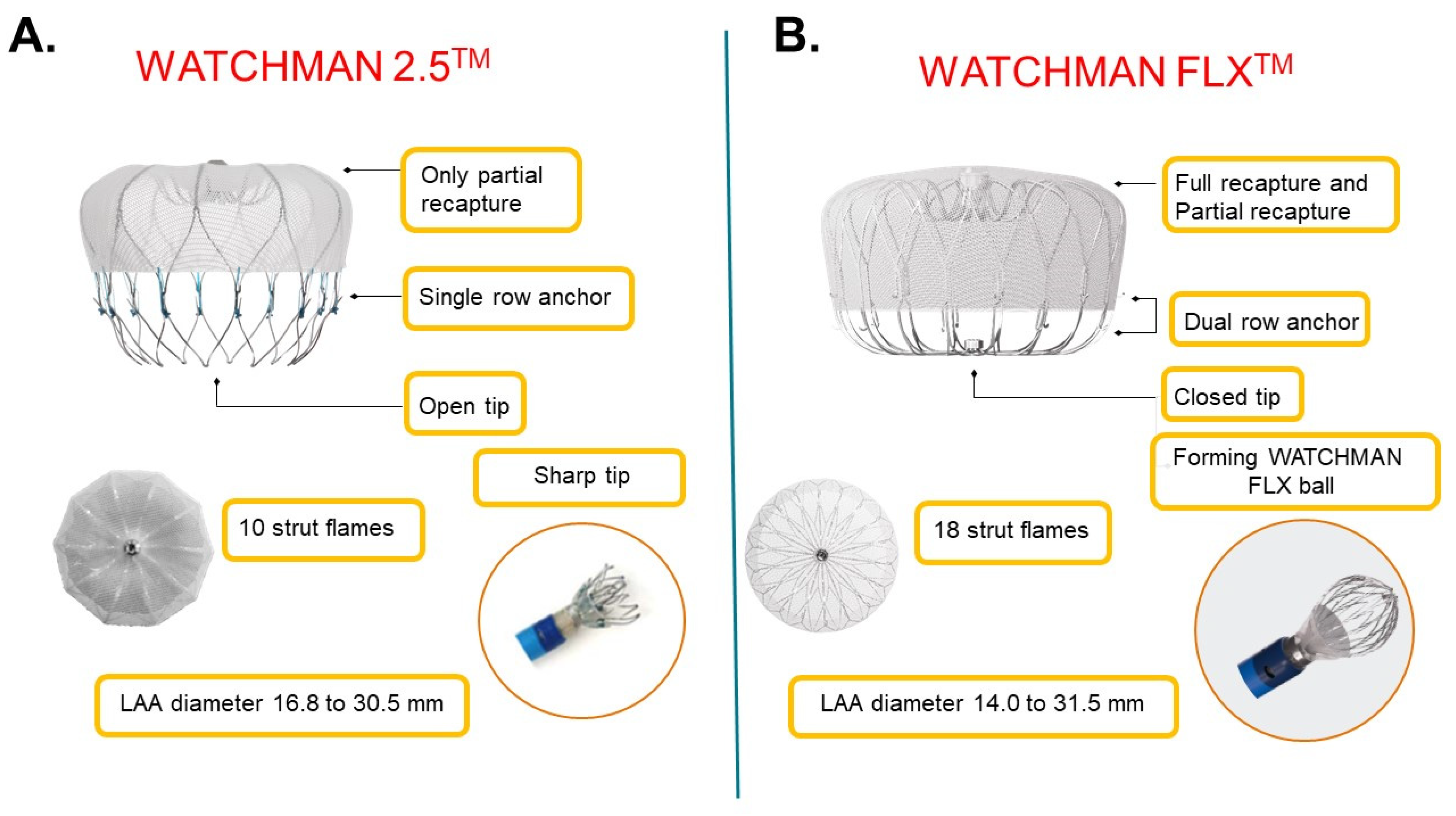 JCM Free FullText Comparison in ShortTerm Safety and Efficacy