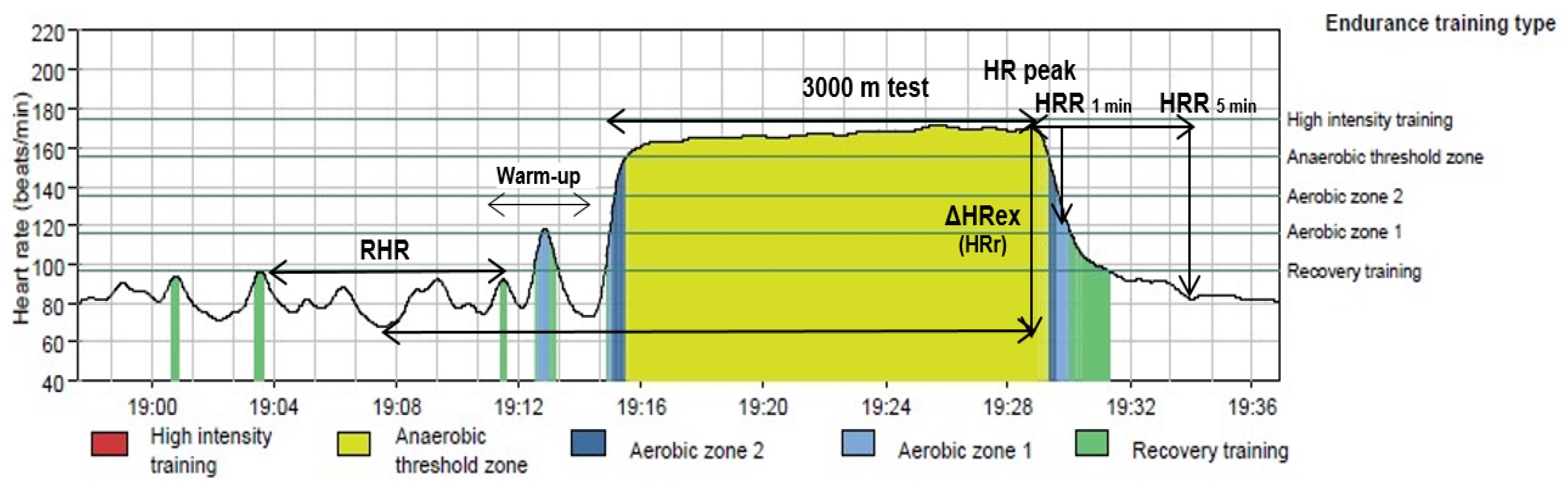 Lap Anestezijos Suri ti Normal Heart Rate During Exercise Gifviewer