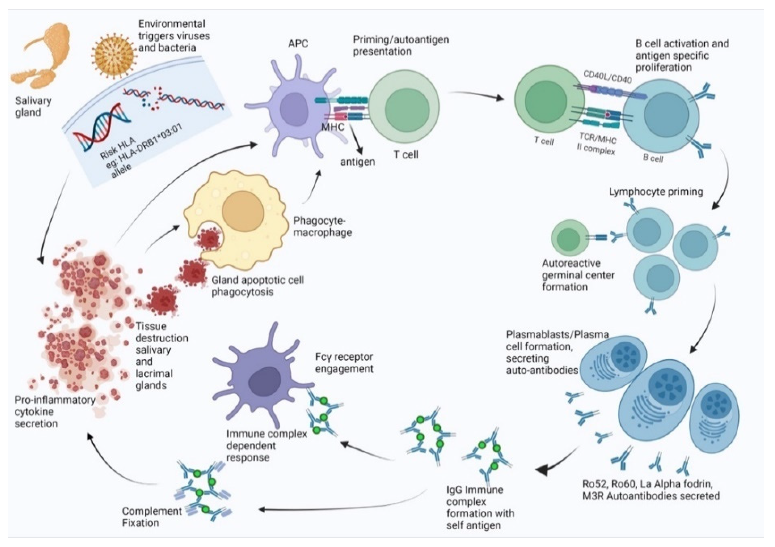 Jcm 11 01690 g006 Jcm 11 01690 g006