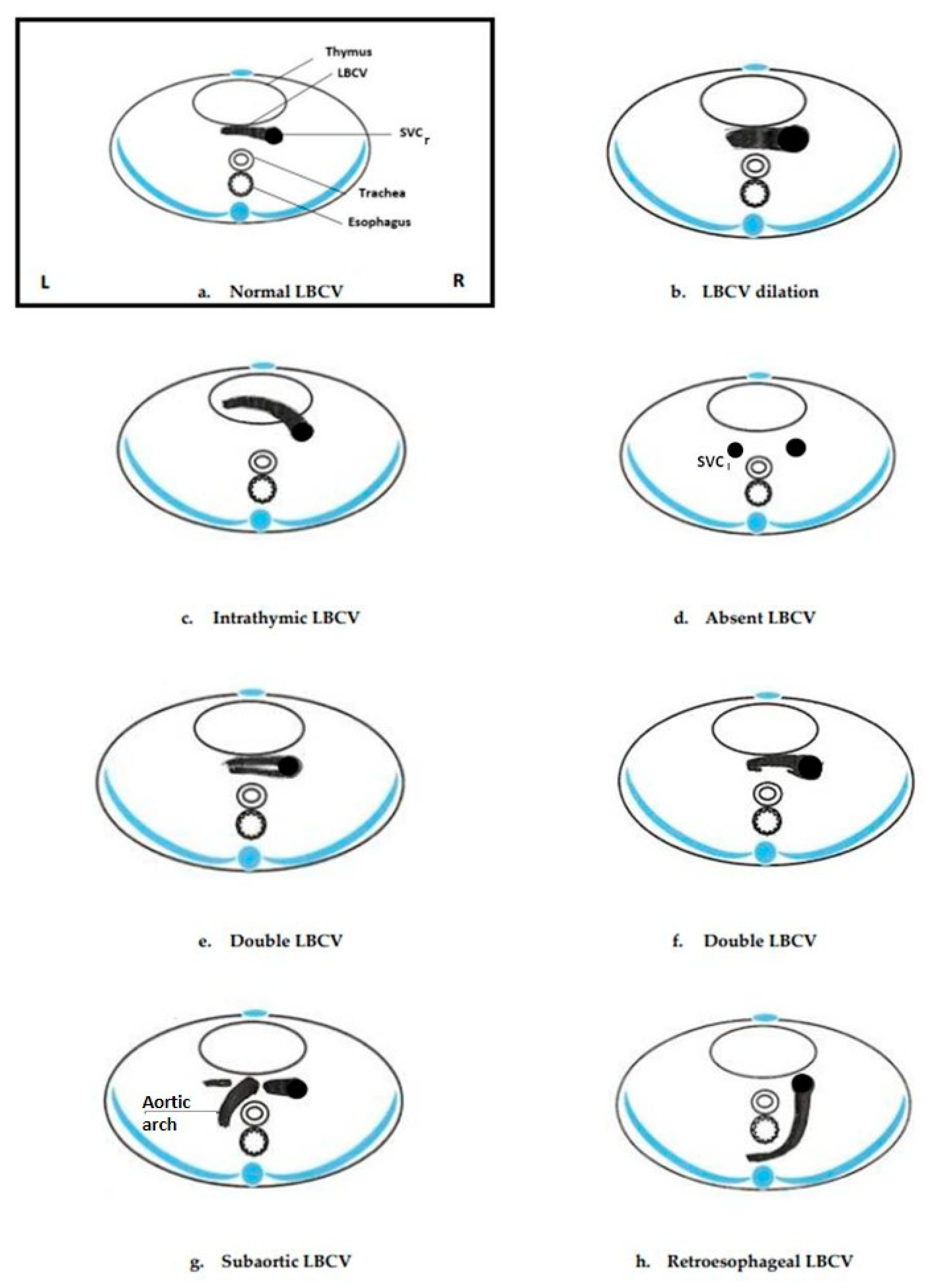 Jcm 11 01805 g004 Jcm 11 01805 g004
