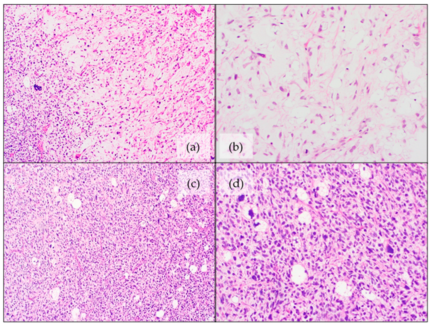 Jcm 11 01938 g005 Jcm 11 01938 g005