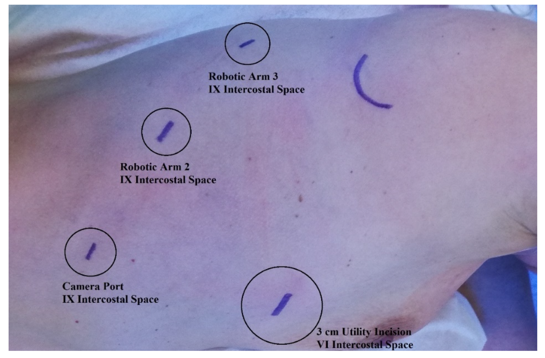 Jcm 11 02173 g001 Jcm 11 02173 g001