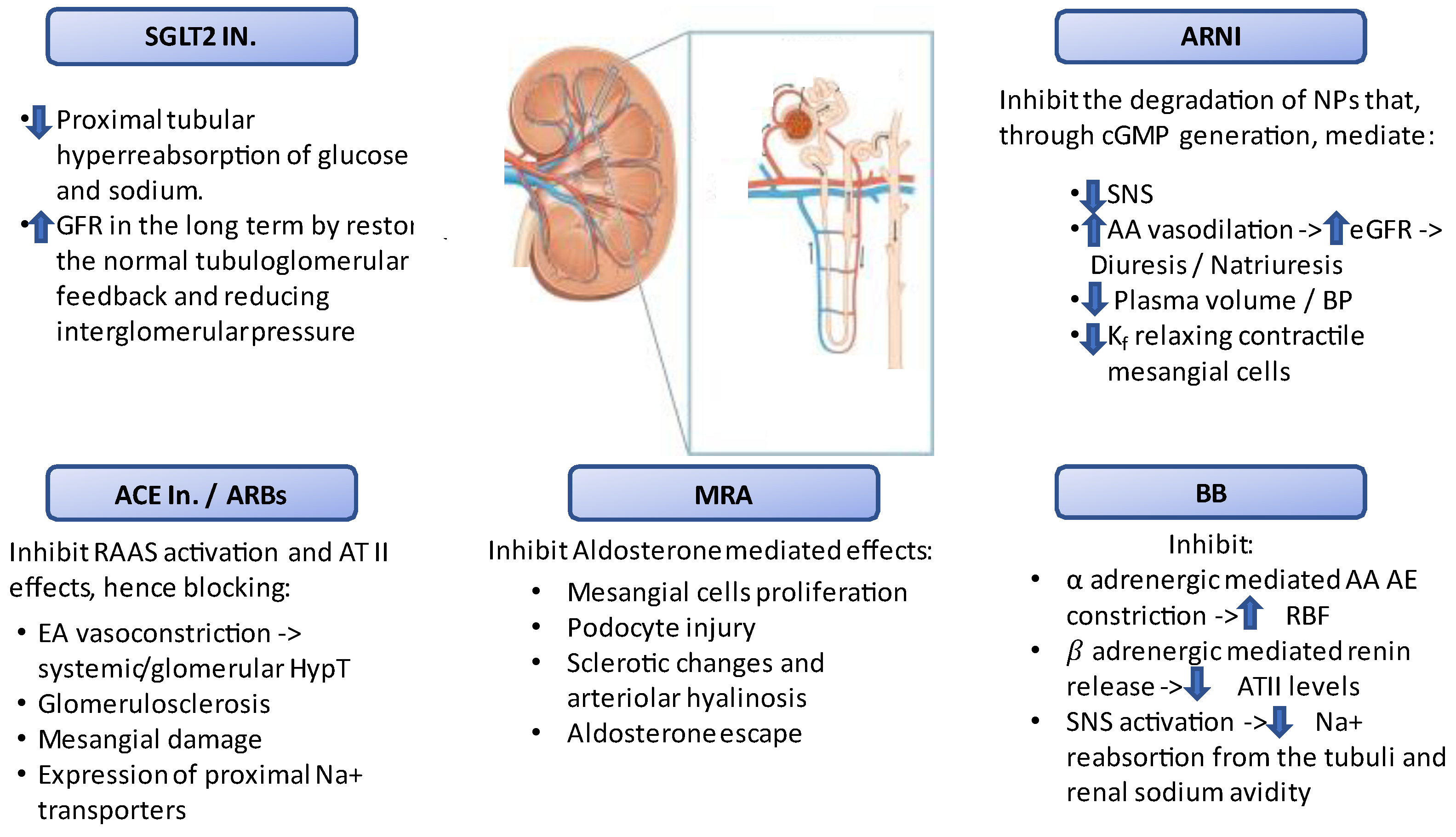 JCM Free FullText The Treatment of Heart Failure in Patients with Chronic Kidney Disease