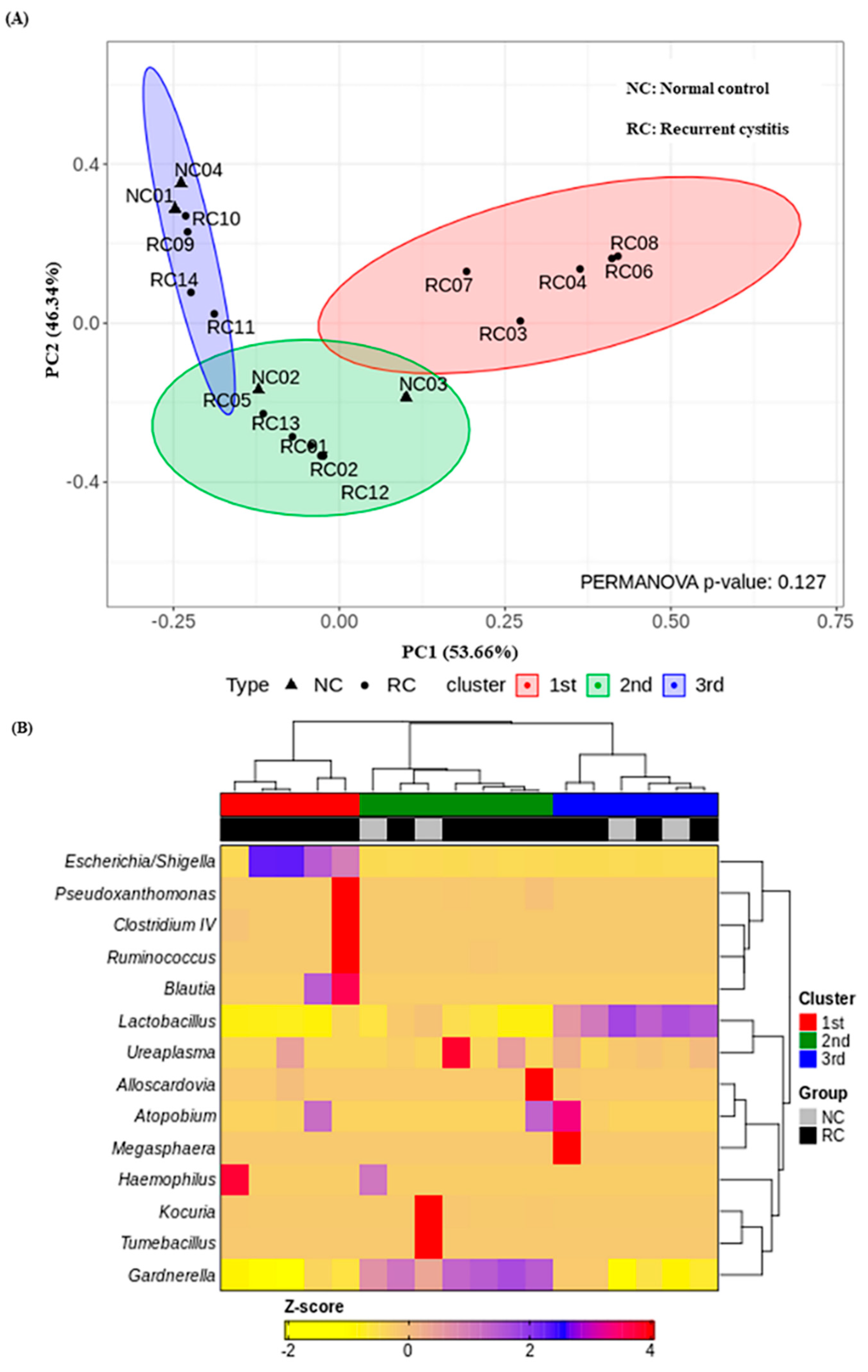 Jcm Free Full Text Gardnerella Vaginalis In Recurrent Urinary Tract Infection Is Associated 0634