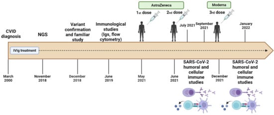 JCM | Free Full-Text | Common Variable Immunodeficiency Associated with a  De Novo IKZF1 Variant and a Low Humoral Immune Response to the SARS-CoV-2  Vaccine
