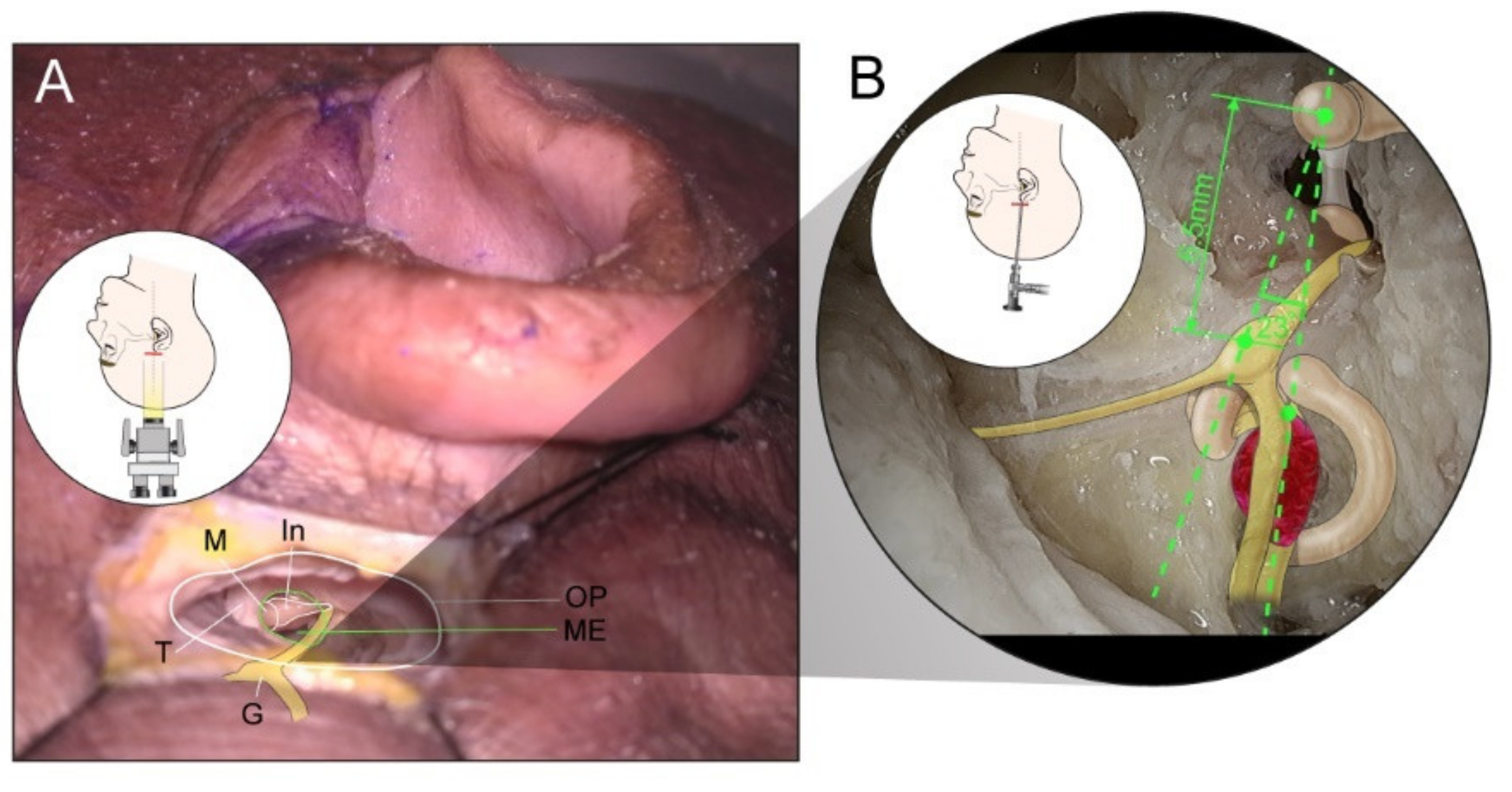 Jcm 11 02324 g002 Jcm 11 02324 g002