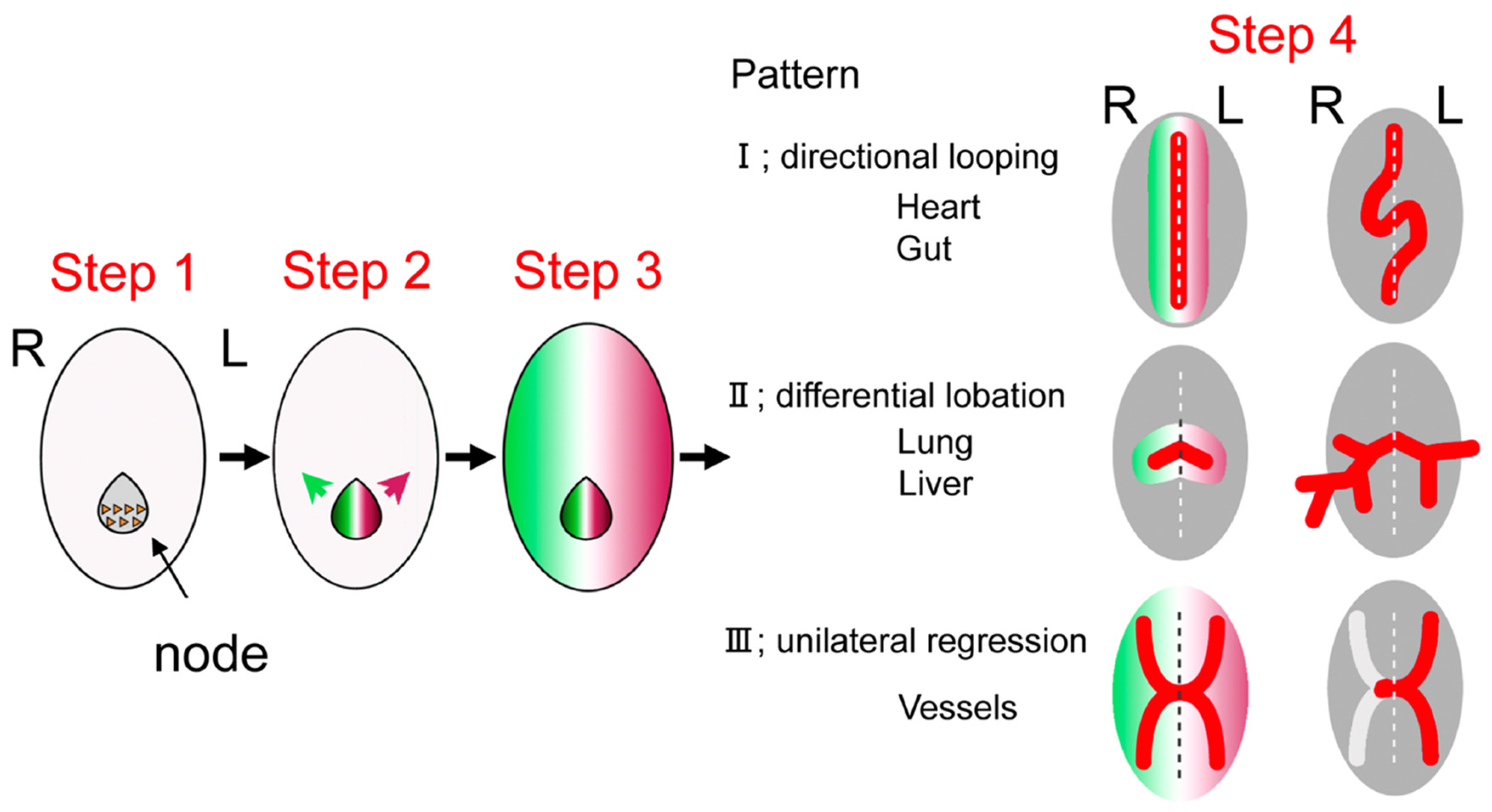Jcm 11 02381 g002 Jcm 11 02381 g002
