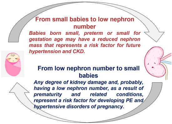 JCM | Free Full-Text | Pregnancy And Kidney Diseases: Multidisciplinary ...