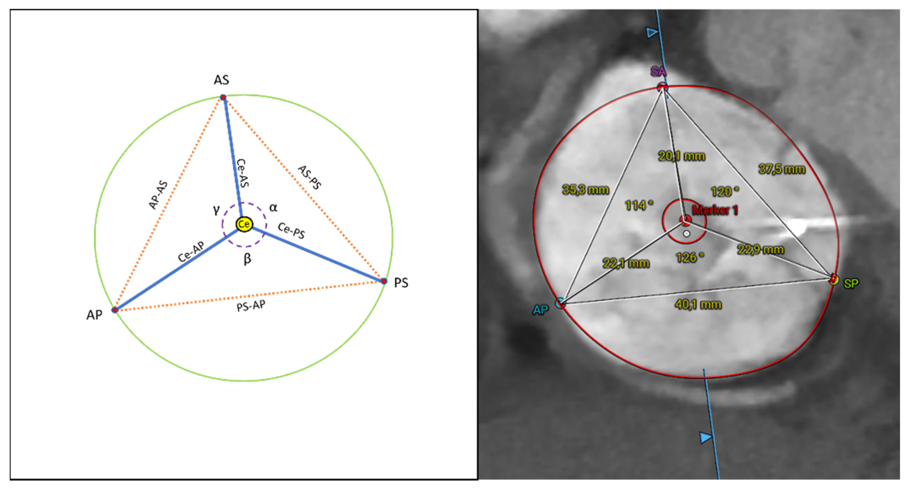 Jcm 11 02825 g001 Jcm 11 02825 g001